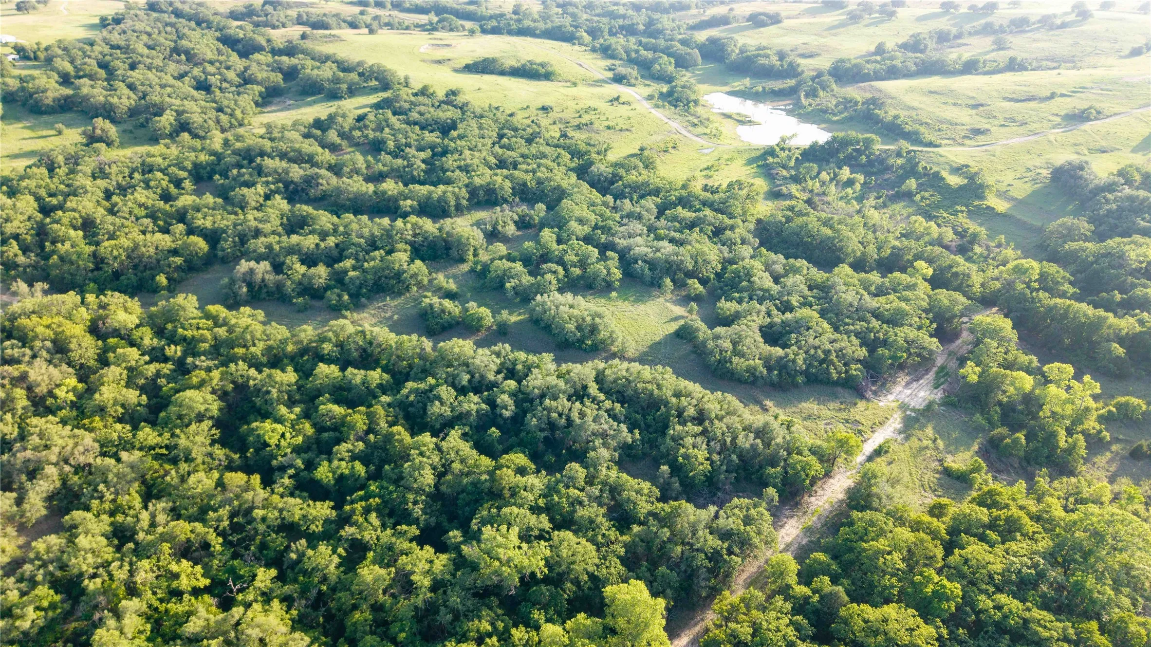 Unimproved Land For Sale in Wise County , 53 AC CR 3757, Springtown, Texas 76082, 0, 0, Garage spaces, 0 Sqft, built in 0, mls#21254036, Real Estate Agent in Springtown, Homes For Sale in Wise county, Homes For Sale in Springtown, Realtor in Springtown Texas, Real Estate Brokerage Independent Realty Texas, Luminita Cordes Realtor