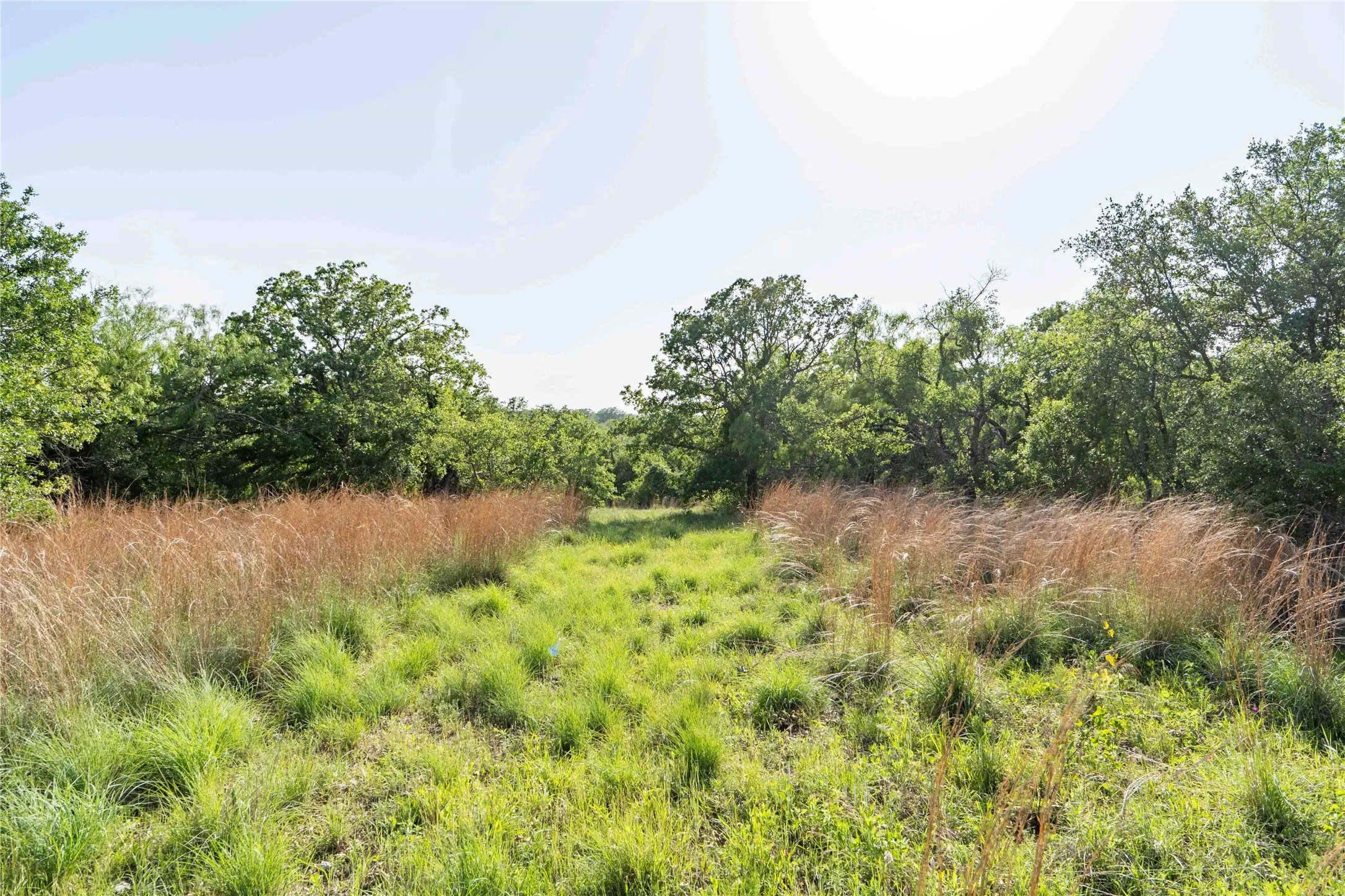 Unimproved Land For Sale in Wise County , 53 AC CR 3757, Springtown, Texas 76082, 0, 0, Garage spaces, 0 Sqft, built in 0, mls#21254036, Real Estate Agent in Springtown, Homes For Sale in Wise county, Homes For Sale in Springtown, Realtor in Springtown Texas, Real Estate Brokerage Independent Realty Texas, Luminita Cordes Realtor