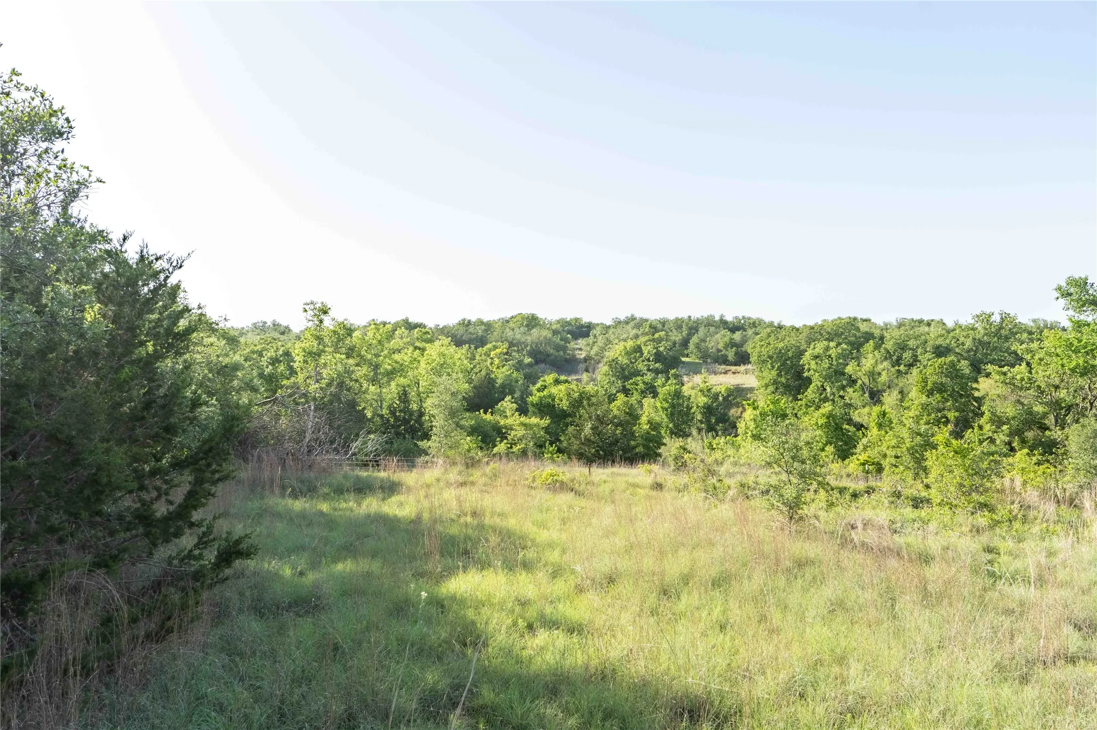 Unimproved Land For Sale in Wise County , 53 AC CR 3757, Springtown, Texas 76082, 0, 0, Garage spaces, 0 Sqft, built in 0, mls#21254036, Real Estate Agent in Springtown, Homes For Sale in Wise county, Homes For Sale in Springtown, Realtor in Springtown Texas, Real Estate Brokerage Independent Realty Texas, Luminita Cordes Realtor