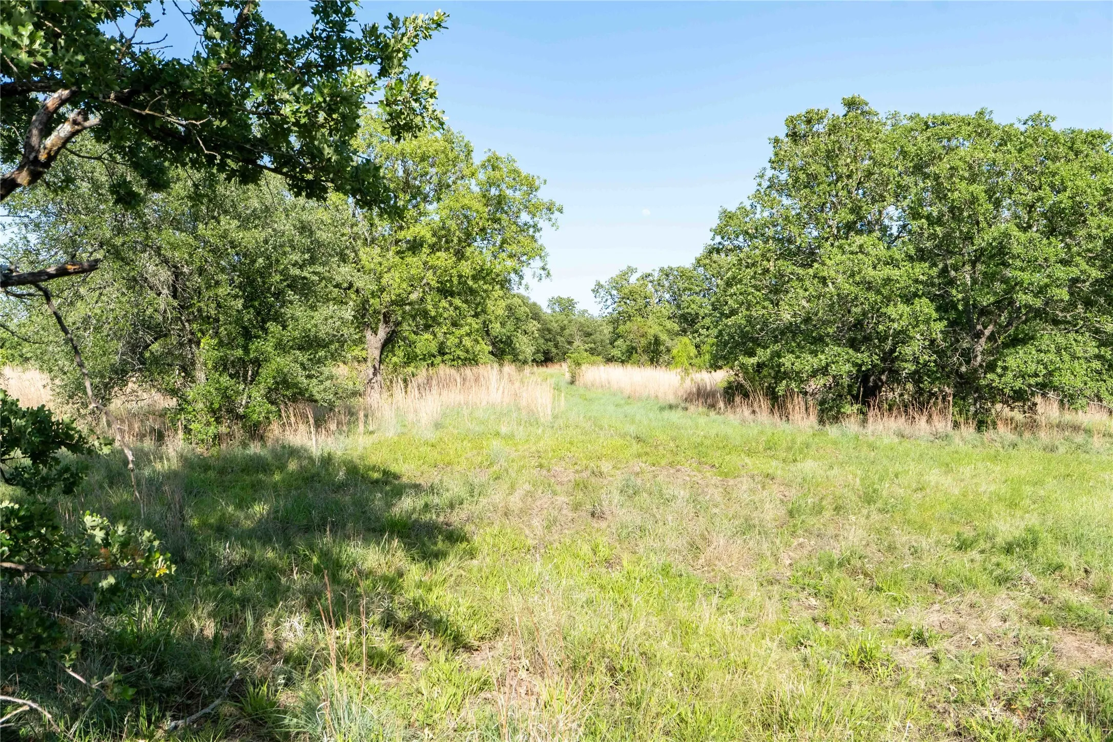 Unimproved Land For Sale in Wise County , 53 AC CR 3757, Springtown, Texas 76082, 0, 0, Garage spaces, 0 Sqft, built in 0, mls#21254036, Real Estate Agent in Springtown, Homes For Sale in Wise county, Homes For Sale in Springtown, Realtor in Springtown Texas, Real Estate Brokerage Independent Realty Texas, Luminita Cordes Realtor