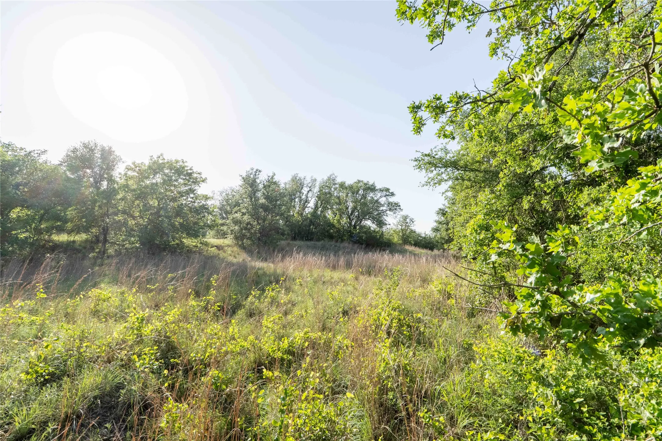 Unimproved Land For Sale in Wise County , 53 AC CR 3757, Springtown, Texas 76082, 0, 0, Garage spaces, 0 Sqft, built in 0, mls#21254036, Real Estate Agent in Springtown, Homes For Sale in Wise county, Homes For Sale in Springtown, Realtor in Springtown Texas, Real Estate Brokerage Independent Realty Texas, Luminita Cordes Realtor