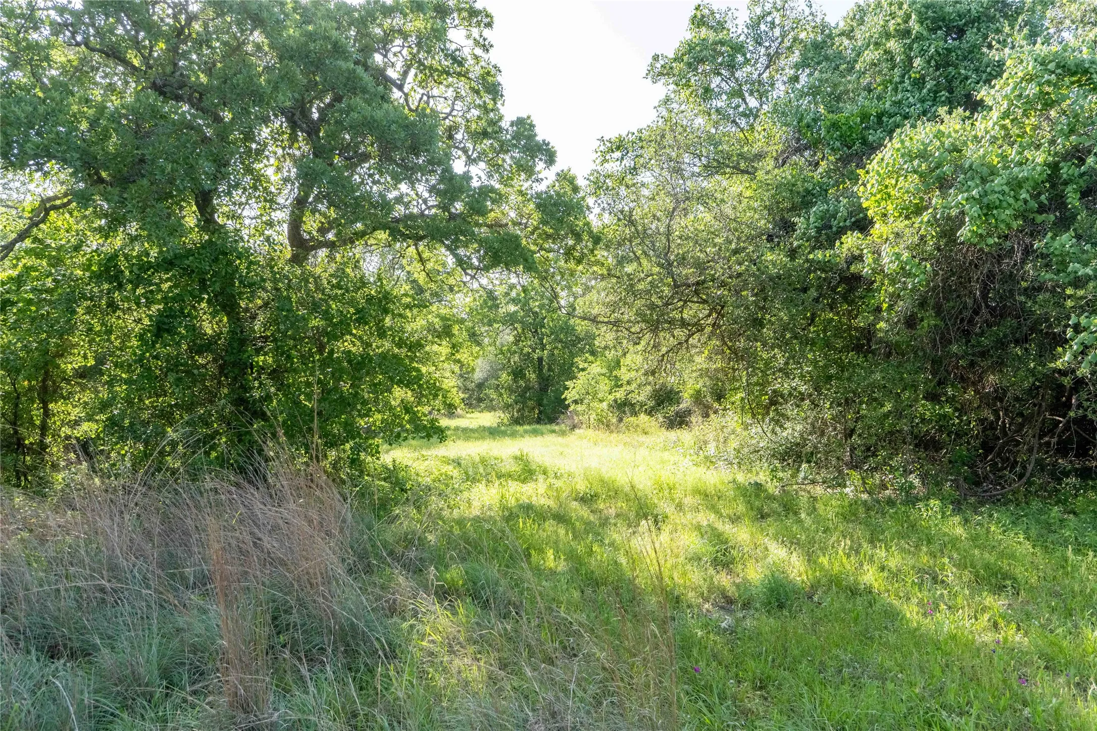 Unimproved Land For Sale in Wise County , 53 AC CR 3757, Springtown, Texas 76082, 0, 0, Garage spaces, 0 Sqft, built in 0, mls#21254036, Real Estate Agent in Springtown, Homes For Sale in Wise county, Homes For Sale in Springtown, Realtor in Springtown Texas, Real Estate Brokerage Independent Realty Texas, Luminita Cordes Realtor