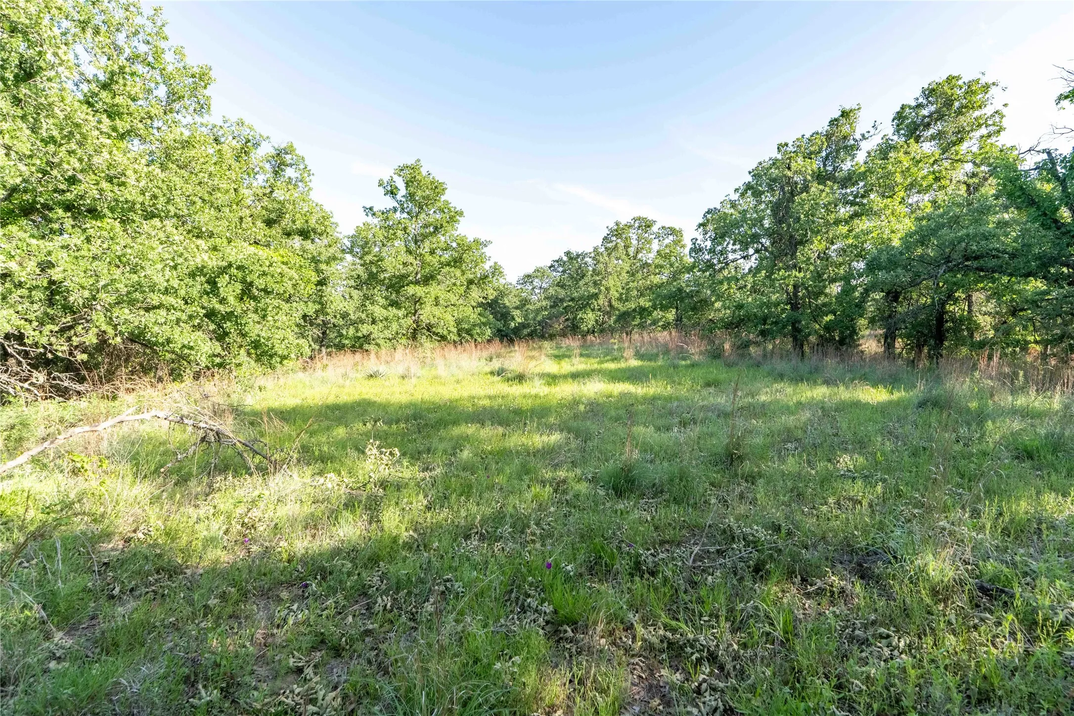 Unimproved Land For Sale in Wise County , 53 AC CR 3757, Springtown, Texas 76082, 0, 0, Garage spaces, 0 Sqft, built in 0, mls#21254036, Real Estate Agent in Springtown, Homes For Sale in Wise county, Homes For Sale in Springtown, Realtor in Springtown Texas, Real Estate Brokerage Independent Realty Texas, Luminita Cordes Realtor