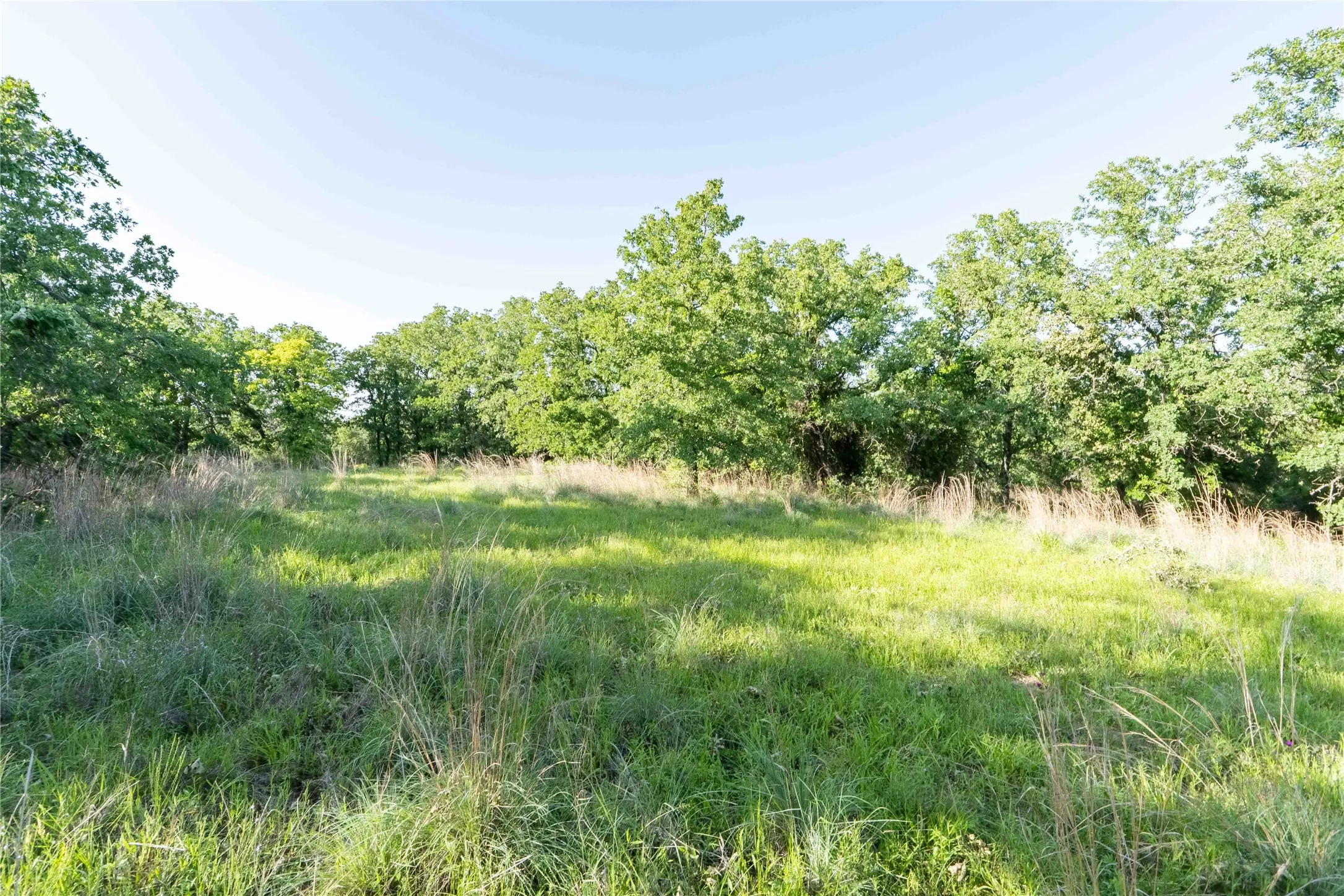 Unimproved Land For Sale in Wise County , 53 AC CR 3757, Springtown, Texas 76082, 0, 0, Garage spaces, 0 Sqft, built in 0, mls#21254036, Real Estate Agent in Springtown, Homes For Sale in Wise county, Homes For Sale in Springtown, Realtor in Springtown Texas, Real Estate Brokerage Independent Realty Texas, Luminita Cordes Realtor