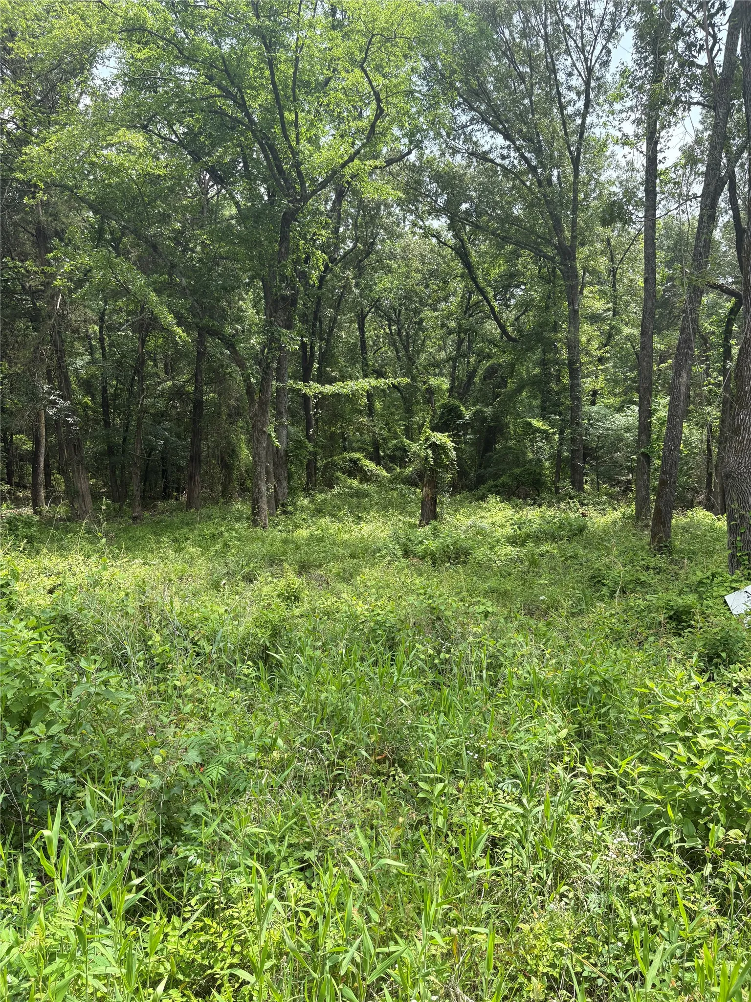 Unimproved Land For Sale in Van Zandt County , 0 County Road 4112, Canton, Texas 75103, 0, 0, Garage spaces, 0 Sqft, built in 0, Price $199,900, mls#21254983, Real Estate Agent in Canton, Homes For Sale in Van Zandt county, Homes For Sale in Canton, Realtor in Canton Texas, Real Estate Brokerage Independent Realty Texas, Luminita Cordes Realtor