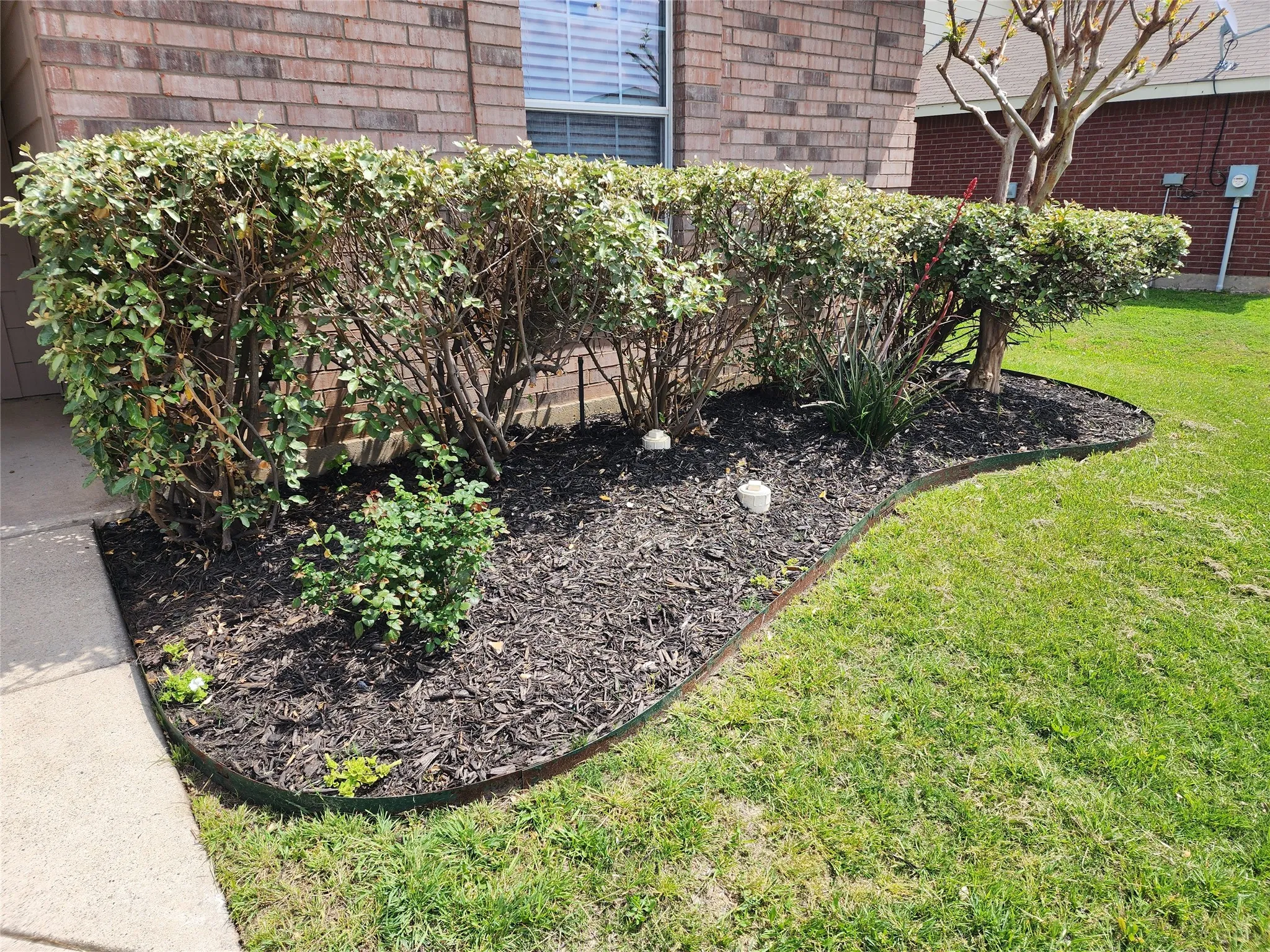 Single Family Residence For Rent in Wise County , 12808 Kingsgate Drive, Rhome, Texas 76078, 3 Bedroom, 2 Bathroom, 2 Garage spaces, 1,397 Sqft, built in 2008, Preowned, mls#21255039, Real Estate Agent in Rhome, Homes For Rent in Wise county, Homes For Rent in Rhome, Realtor in Rhome Texas, Real Estate Brokerage Independent Realty Texas, Luminita Cordes Realtor