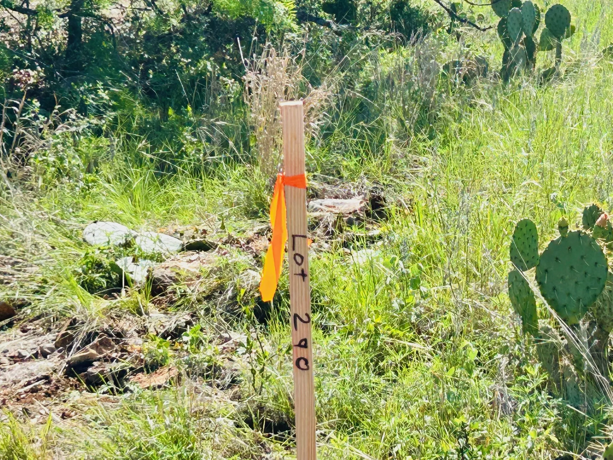 Appx. front boundary stake