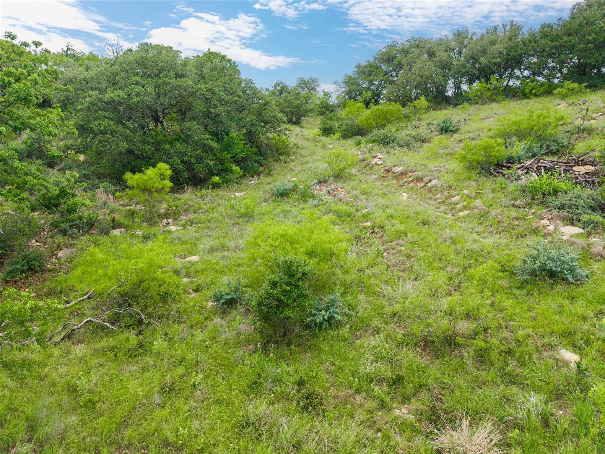Back of property