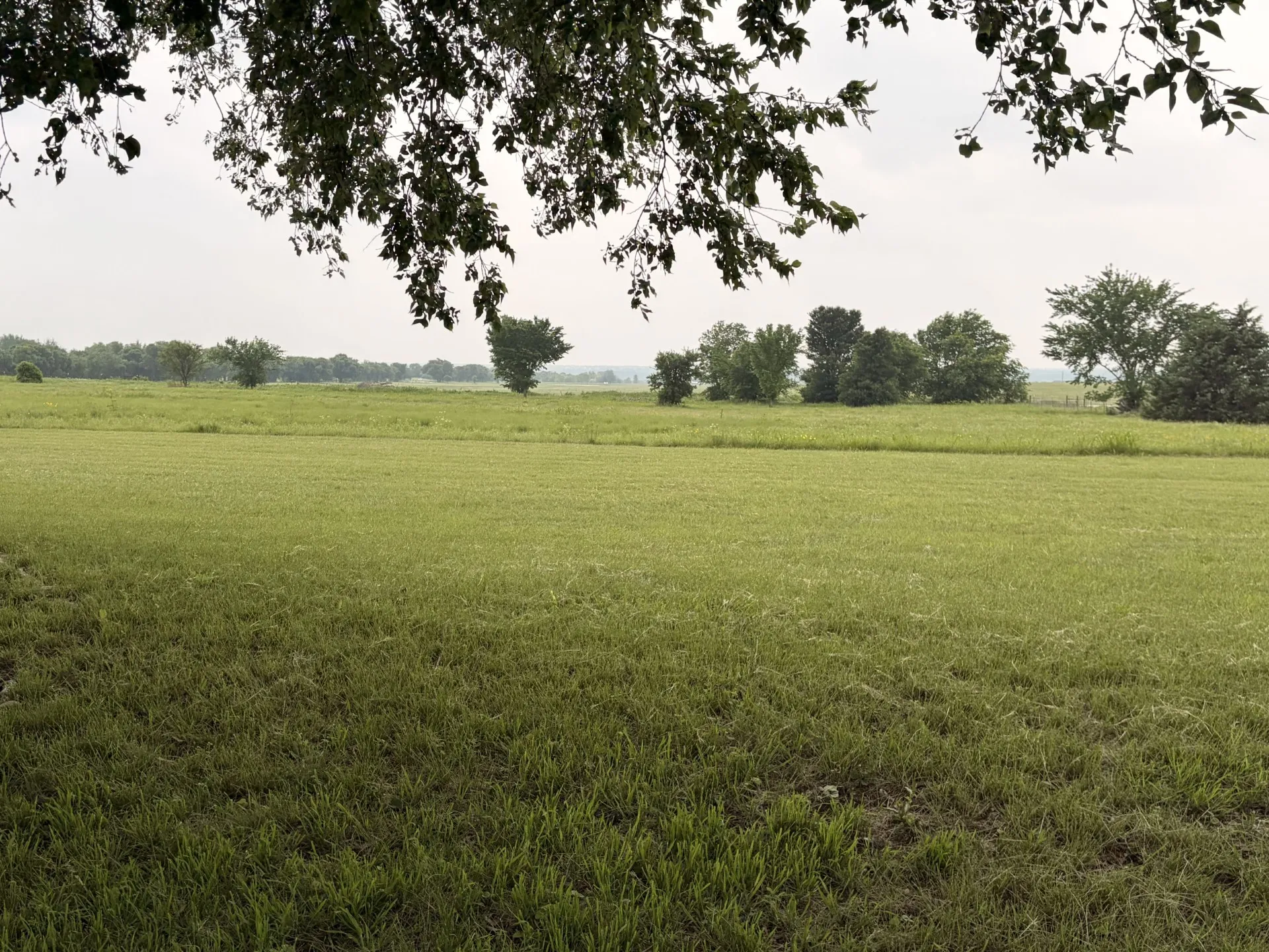 Single Family Residence For Sale in Wise County , 1746 CR 4522, Decatur, Texas 76234, 1 Bedroom, 1 Bathroom, Garage spaces, 800 Sqft, built in 2010, mls#21255209, Real Estate Agent in Decatur, Homes For Sale in Wise county, Homes For Sale in Decatur, Realtor in Decatur Texas, Real Estate Brokerage Independent Realty Texas, Luminita Cordes Realtor