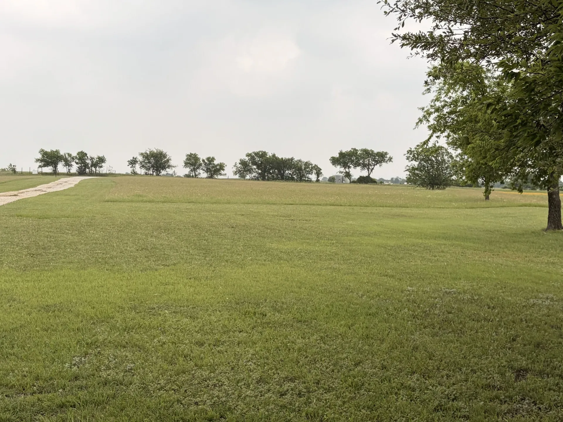 Single Family Residence For Sale in Wise County , 1746 CR 4522, Decatur, Texas 76234, 1 Bedroom, 1 Bathroom, Garage spaces, 800 Sqft, built in 2010, mls#21255209, Real Estate Agent in Decatur, Homes For Sale in Wise county, Homes For Sale in Decatur, Realtor in Decatur Texas, Real Estate Brokerage Independent Realty Texas, Luminita Cordes Realtor