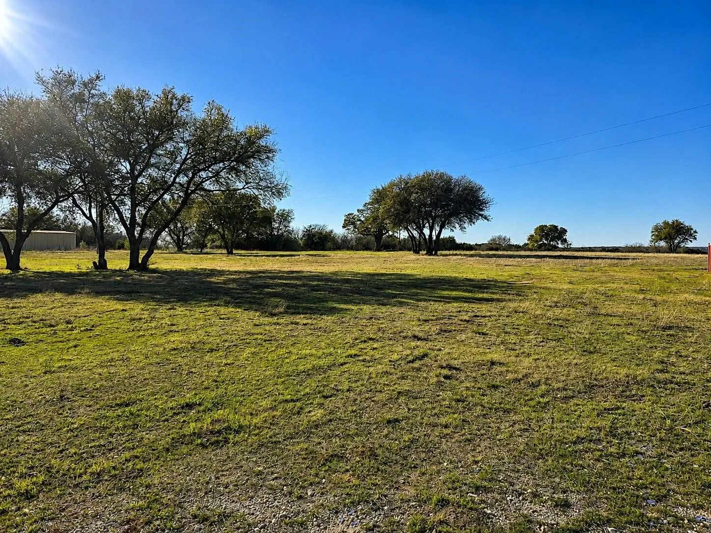 Expansive green space featuring scattered mature trees and open land