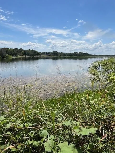 Unimproved Land For Sale in Erath County , 1015 Bluegill Ridge, Bluff Dale, Texas 76433, 0, 0, Garage spaces, 0 Sqft, built in 0, mls#21255274, Real Estate Agent in Bluff Dale, Homes For Sale in Erath county, Homes For Sale in Bluff Dale, Realtor in Bluff Dale Texas, Real Estate Brokerage Independent Realty Texas, Luminita Cordes Realtor