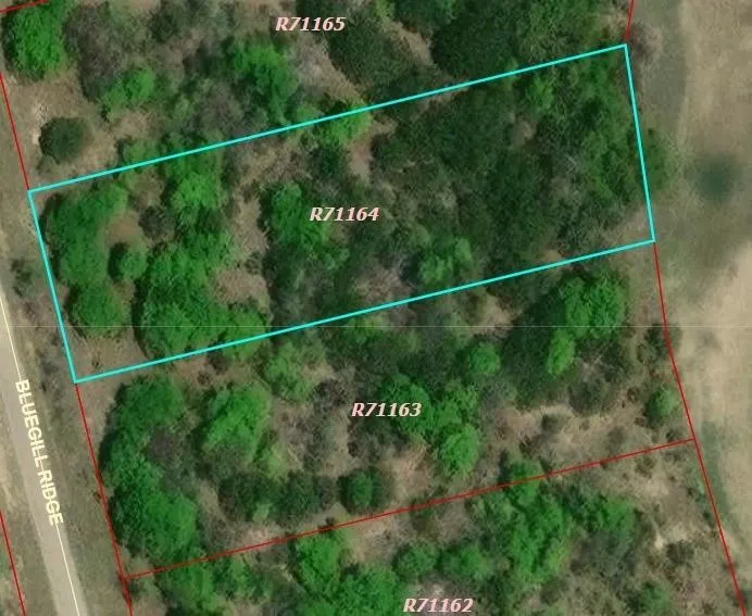 Unimproved Land For Sale in Erath County , 1015 Bluegill Ridge, Bluff Dale, Texas 76433, 0, 0, Garage spaces, 0 Sqft, built in 0, mls#21255274, Real Estate Agent in Bluff Dale, Homes For Sale in Erath county, Homes For Sale in Bluff Dale, Realtor in Bluff Dale Texas, Real Estate Brokerage Independent Realty Texas, Luminita Cordes Realtor
