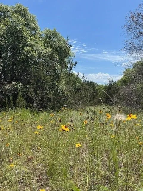 This meadow view is waiting for you
