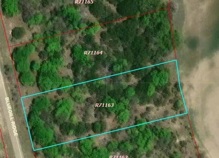 Unimproved Land For Sale in Erath County , 1065 Bluegill Ridge, Bluff Dale, Texas 76433, 0, 0, Garage spaces, 0 Sqft, built in 0, mls#21255280, Real Estate Agent in Bluff Dale, Homes For Sale in Erath county, Homes For Sale in Bluff Dale, Realtor in Bluff Dale Texas, Real Estate Brokerage Independent Realty Texas, Luminita Cordes Realtor
