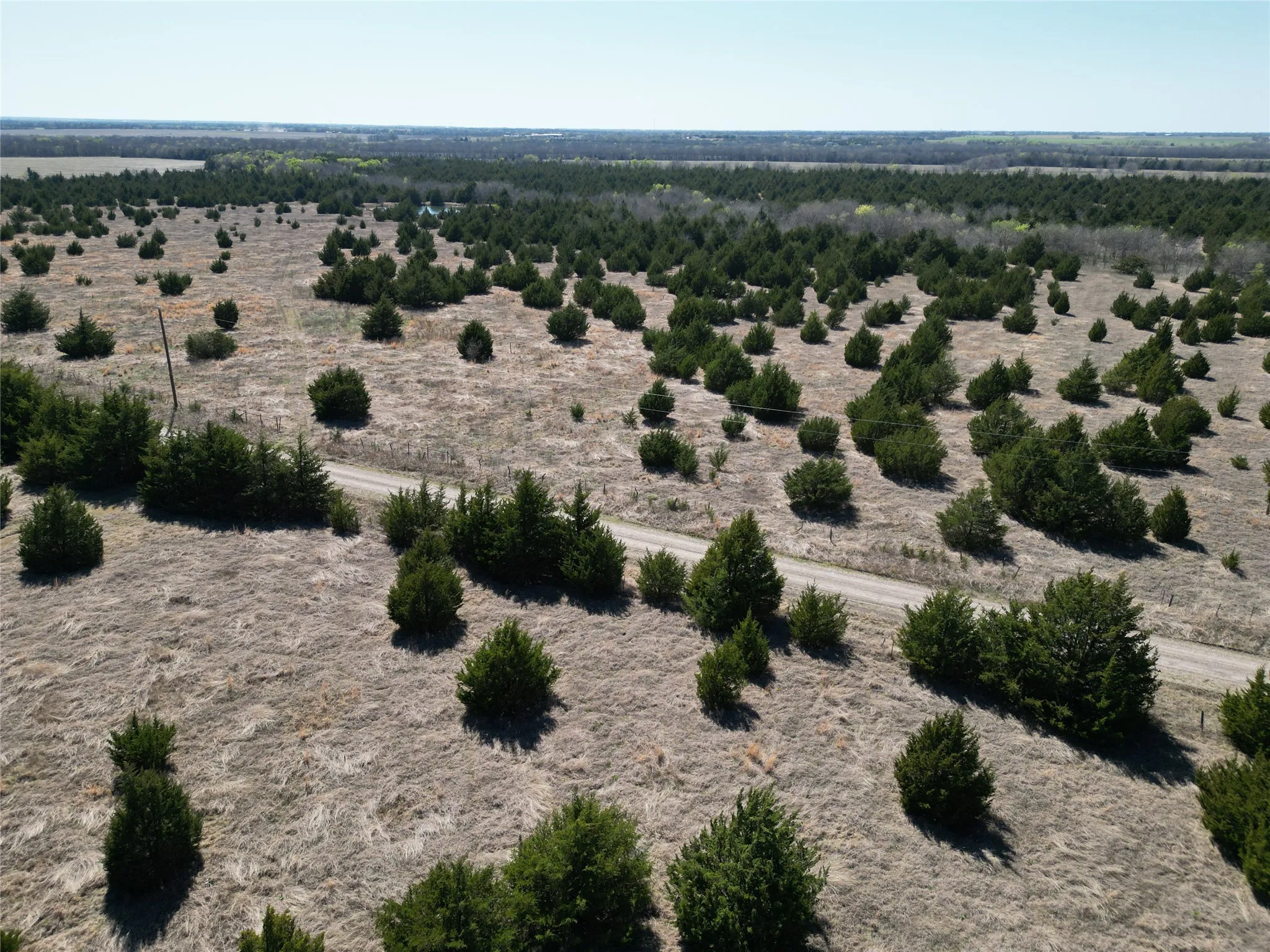 Unimproved Land For Sale in Fannin County , 999-1 CR3805, Bailey, Texas 75413, 0, 0, Garage spaces, 0 Sqft, built in 0, mls#21254583, Real Estate Agent in Bailey, Homes For Sale in Fannin county, Homes For Sale in Bailey, Realtor in Bailey Texas, Real Estate Brokerage Independent Realty Texas, Luminita Cordes Realtor