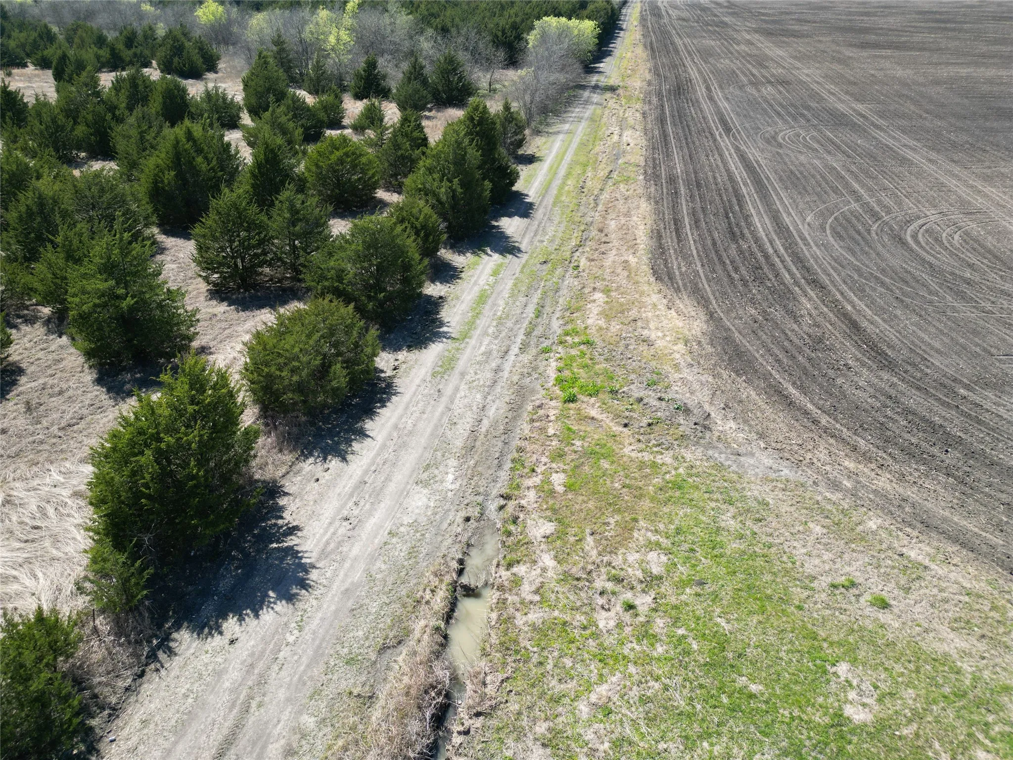 Unimproved Land For Sale in Fannin County , 999-1 CR3805, Bailey, Texas 75413, 0, 0, Garage spaces, 0 Sqft, built in 0, mls#21254583, Real Estate Agent in Bailey, Homes For Sale in Fannin county, Homes For Sale in Bailey, Realtor in Bailey Texas, Real Estate Brokerage Independent Realty Texas, Luminita Cordes Realtor