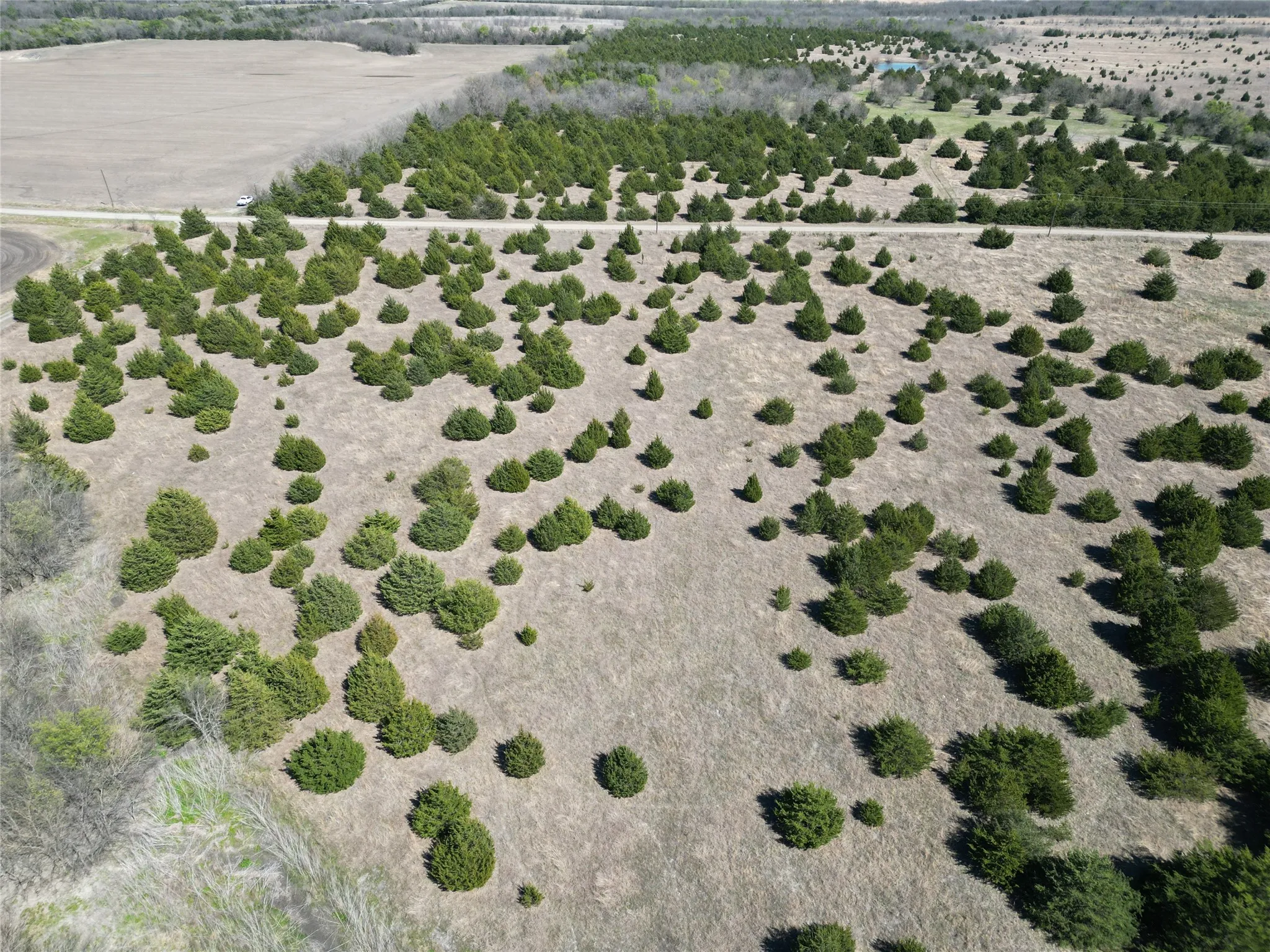 Unimproved Land For Sale in Fannin County , 999-1 CR3805, Bailey, Texas 75413, 0, 0, Garage spaces, 0 Sqft, built in 0, mls#21254583, Real Estate Agent in Bailey, Homes For Sale in Fannin county, Homes For Sale in Bailey, Realtor in Bailey Texas, Real Estate Brokerage Independent Realty Texas, Luminita Cordes Realtor