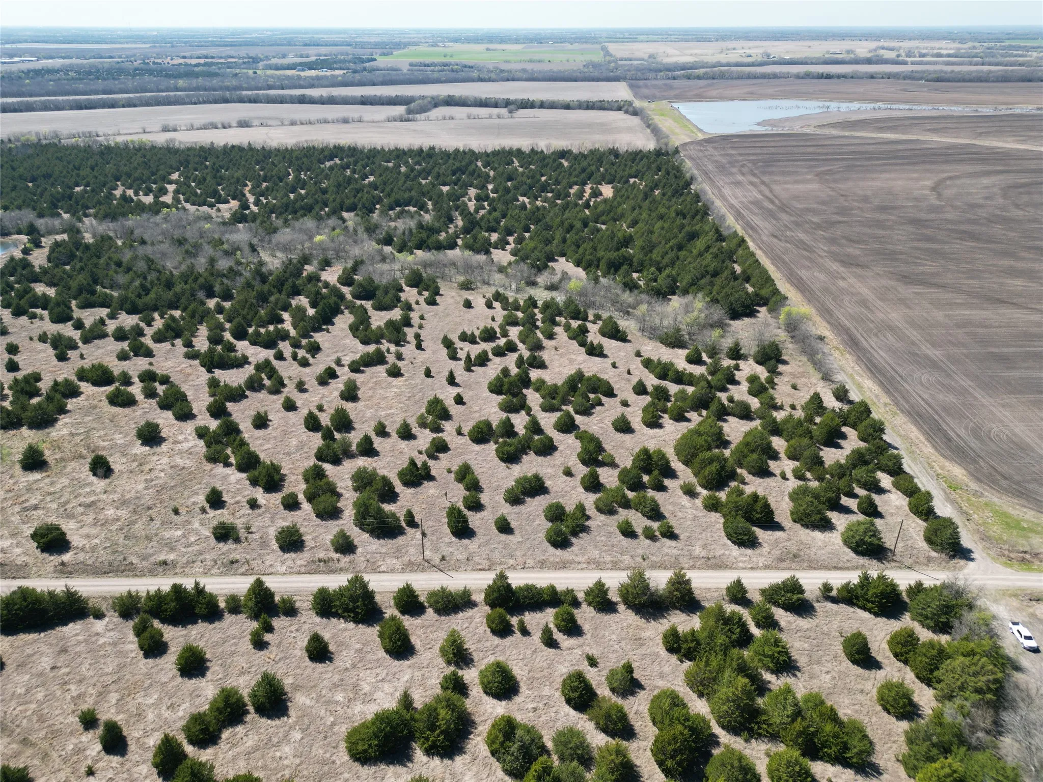 Unimproved Land For Sale in Fannin County , 999-1 CR3805, Bailey, Texas 75413, 0, 0, Garage spaces, 0 Sqft, built in 0, mls#21254583, Real Estate Agent in Bailey, Homes For Sale in Fannin county, Homes For Sale in Bailey, Realtor in Bailey Texas, Real Estate Brokerage Independent Realty Texas, Luminita Cordes Realtor