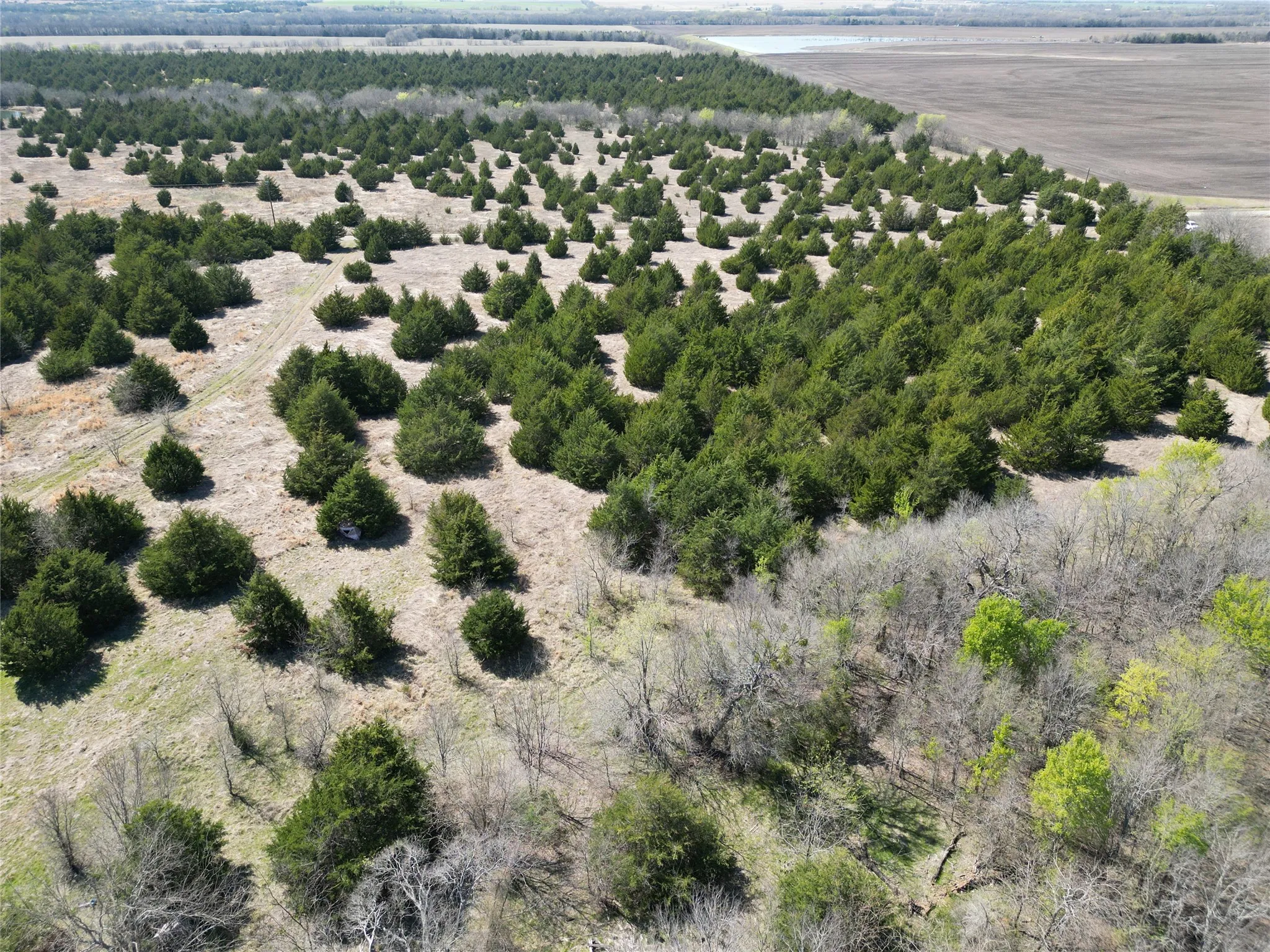 Unimproved Land For Sale in Fannin County , 999-2 CR3805, Bailey, Texas 75413, 0, 0, Garage spaces, 0 Sqft, built in 0, mls#21255313, Real Estate Agent in Bailey, Homes For Sale in Fannin county, Homes For Sale in Bailey, Realtor in Bailey Texas, Real Estate Brokerage Independent Realty Texas, Luminita Cordes Realtor