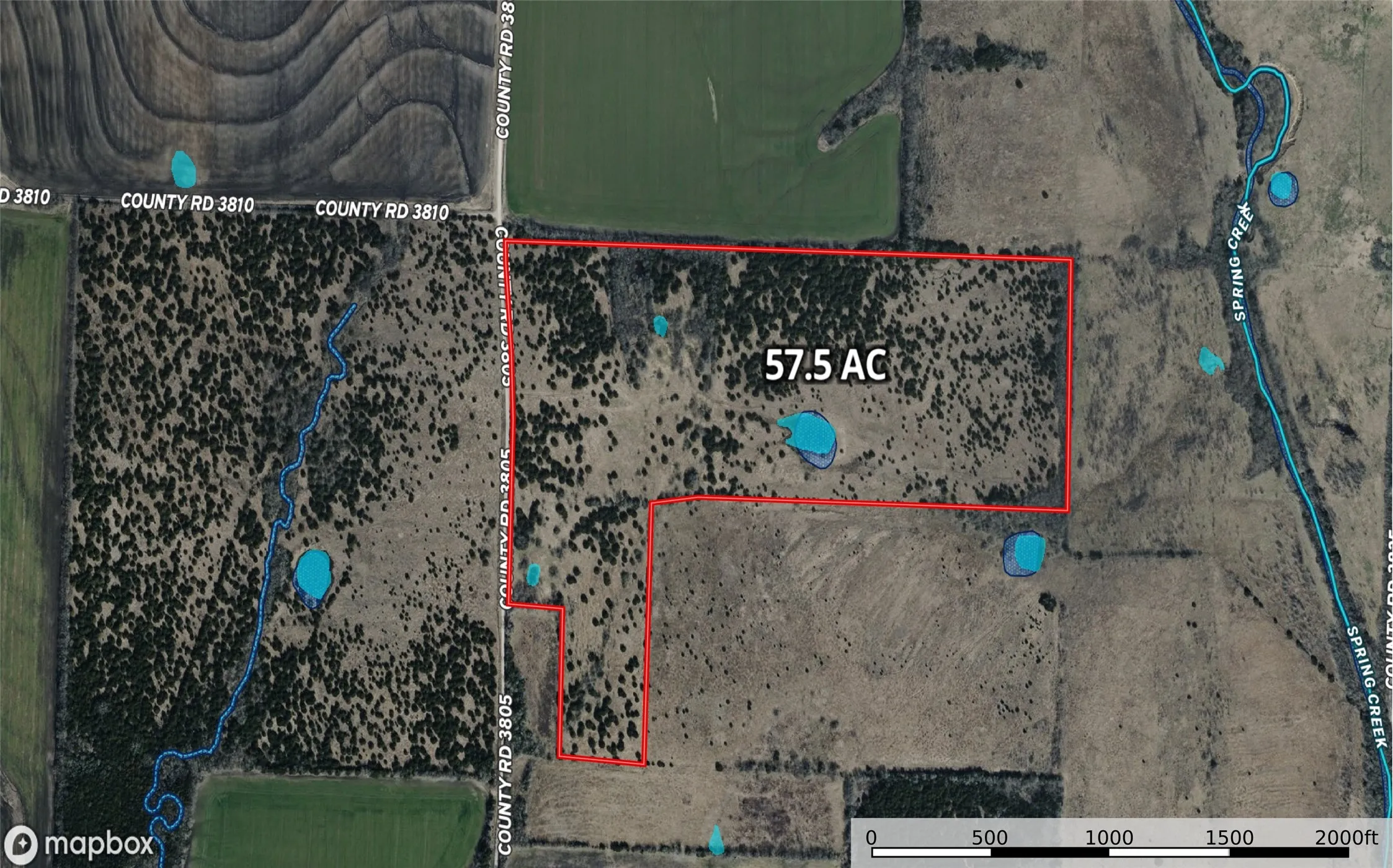 Unimproved Land For Sale in Fannin County , 999-2 CR3805, Bailey, Texas 75413, 0, 0, Garage spaces, 0 Sqft, built in 0, mls#21255313, Real Estate Agent in Bailey, Homes For Sale in Fannin county, Homes For Sale in Bailey, Realtor in Bailey Texas, Real Estate Brokerage Independent Realty Texas, Luminita Cordes Realtor