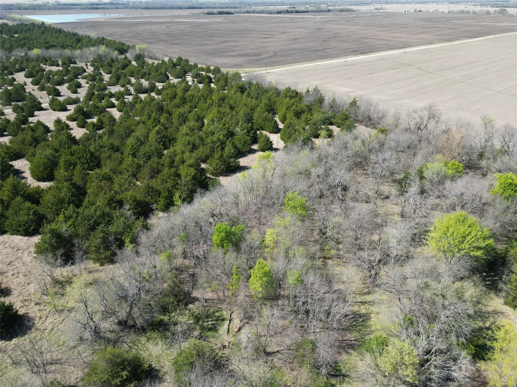Unimproved Land For Sale in Fannin County , 999-2 CR3805, Bailey, Texas 75413, 0, 0, Garage spaces, 0 Sqft, built in 0, mls#21255313, Real Estate Agent in Bailey, Homes For Sale in Fannin county, Homes For Sale in Bailey, Realtor in Bailey Texas, Real Estate Brokerage Independent Realty Texas, Luminita Cordes Realtor
