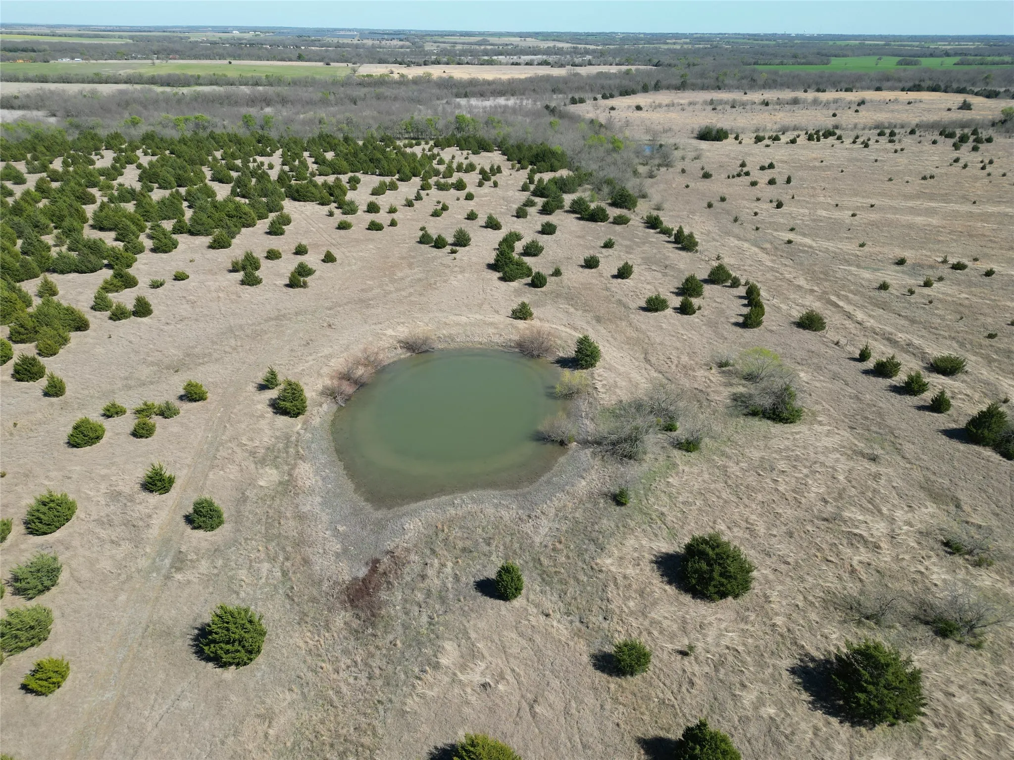 Unimproved Land For Sale in Fannin County , 999-2 CR3805, Bailey, Texas 75413, 0, 0, Garage spaces, 0 Sqft, built in 0, mls#21255313, Real Estate Agent in Bailey, Homes For Sale in Fannin county, Homes For Sale in Bailey, Realtor in Bailey Texas, Real Estate Brokerage Independent Realty Texas, Luminita Cordes Realtor