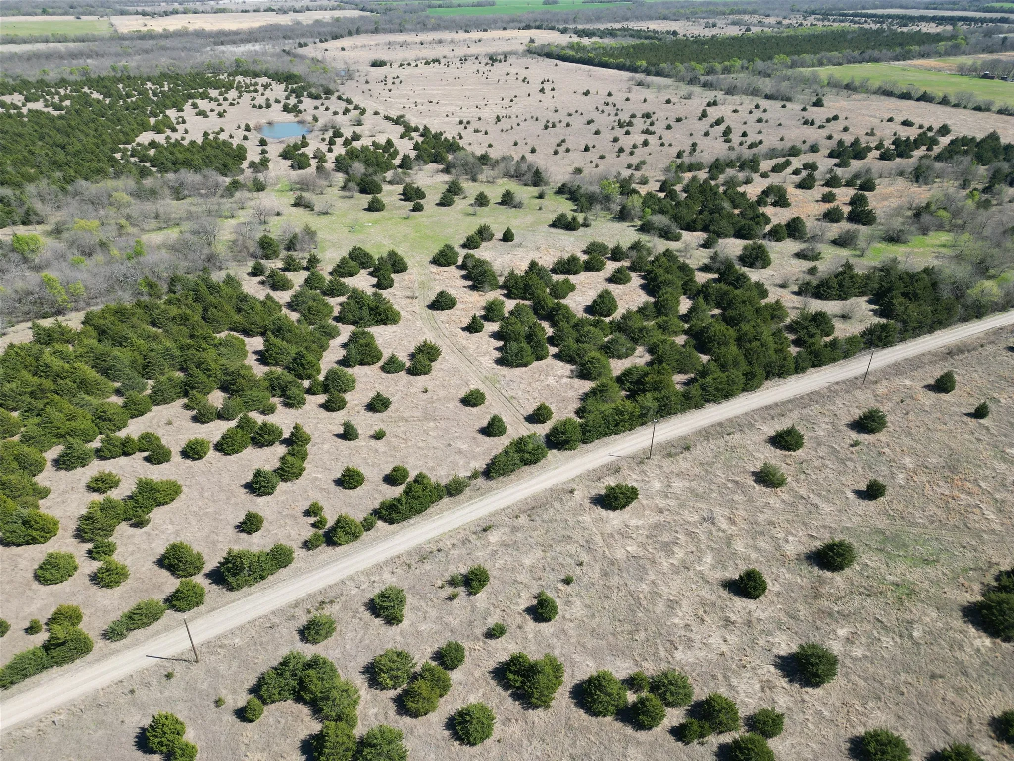 Unimproved Land For Sale in Fannin County , 999-2 CR3805, Bailey, Texas 75413, 0, 0, Garage spaces, 0 Sqft, built in 0, mls#21255313, Real Estate Agent in Bailey, Homes For Sale in Fannin county, Homes For Sale in Bailey, Realtor in Bailey Texas, Real Estate Brokerage Independent Realty Texas, Luminita Cordes Realtor