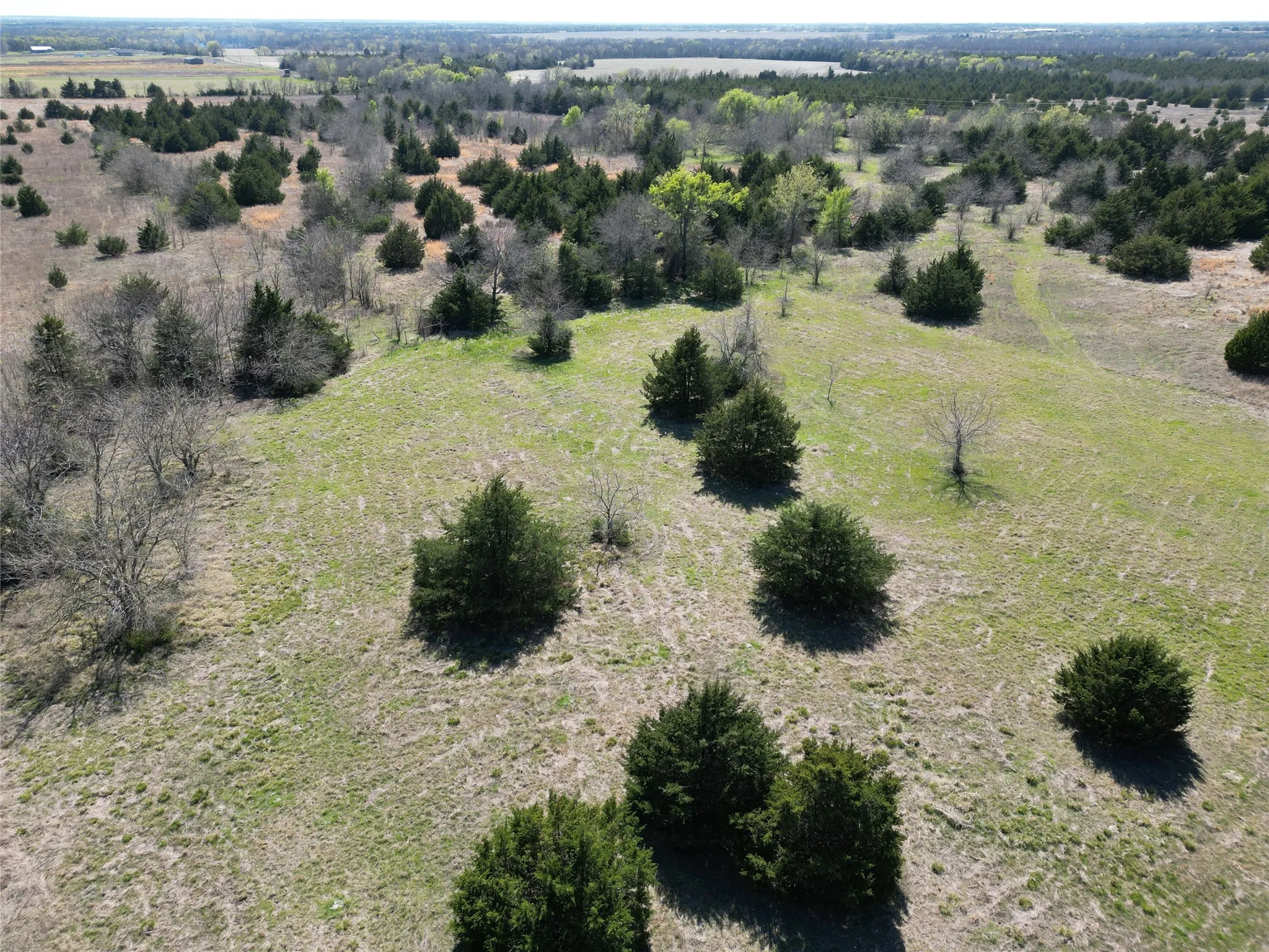 Unimproved Land For Sale in Fannin County , 999-2 CR3805, Bailey, Texas 75413, 0, 0, Garage spaces, 0 Sqft, built in 0, mls#21255313, Real Estate Agent in Bailey, Homes For Sale in Fannin county, Homes For Sale in Bailey, Realtor in Bailey Texas, Real Estate Brokerage Independent Realty Texas, Luminita Cordes Realtor