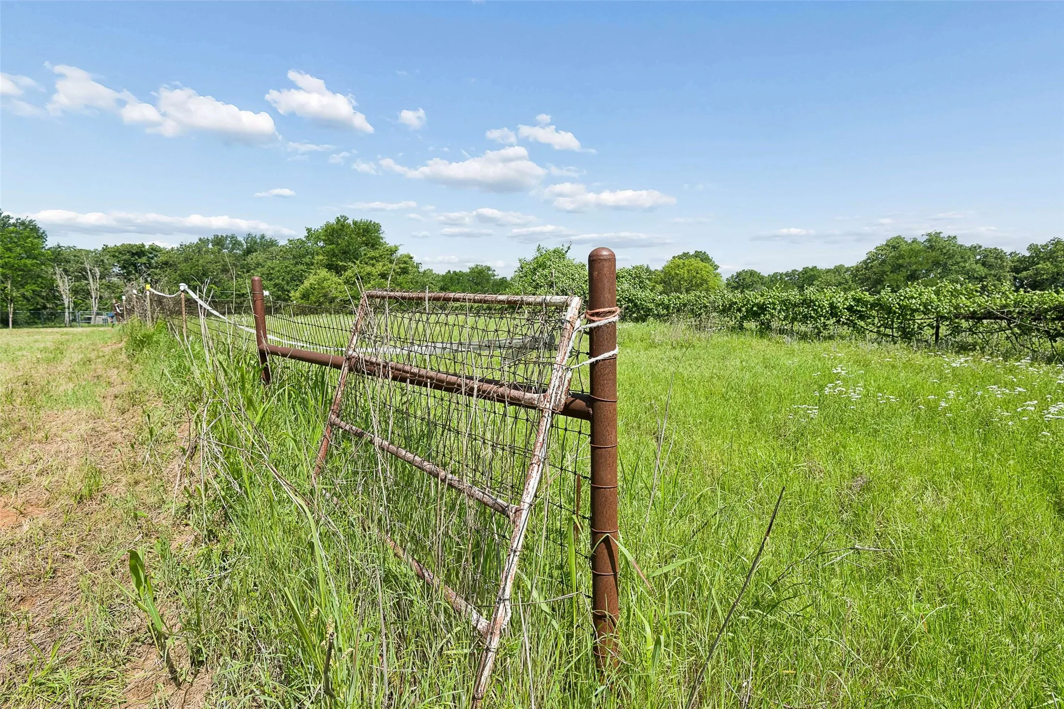 Farm For Sale in Wise County , 194 Private Road 4663, Boyd, Texas 76023, 3 Bedroom, 2 Bathroom, Garage spaces, 1,248 Sqft, built in 1995, Preowned, mls#21254839, Real Estate Agent in Boyd, Homes For Sale in Wise county, Homes For Sale in Boyd, Realtor in Boyd Texas, Real Estate Brokerage Independent Realty Texas, Luminita Cordes Realtor