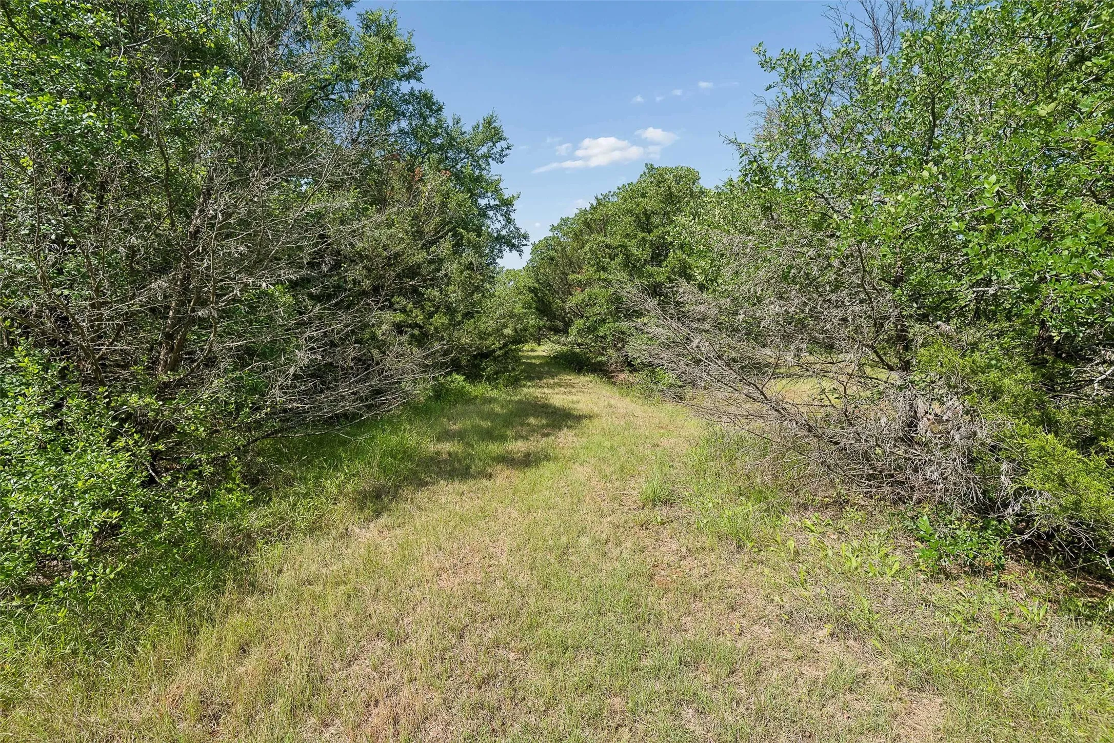 Farm For Sale in Wise County , 194 Private Road 4663, Boyd, Texas 76023, 3 Bedroom, 2 Bathroom, Garage spaces, 1,248 Sqft, built in 1995, Preowned, mls#21254839, Real Estate Agent in Boyd, Homes For Sale in Wise county, Homes For Sale in Boyd, Realtor in Boyd Texas, Real Estate Brokerage Independent Realty Texas, Luminita Cordes Realtor