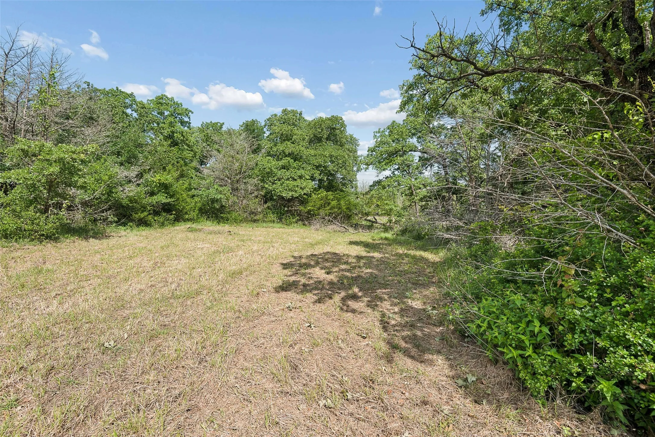 Farm For Sale in Wise County , 194 Private Road 4663, Boyd, Texas 76023, 3 Bedroom, 2 Bathroom, Garage spaces, 1,248 Sqft, built in 1995, Preowned, mls#21254839, Real Estate Agent in Boyd, Homes For Sale in Wise county, Homes For Sale in Boyd, Realtor in Boyd Texas, Real Estate Brokerage Independent Realty Texas, Luminita Cordes Realtor