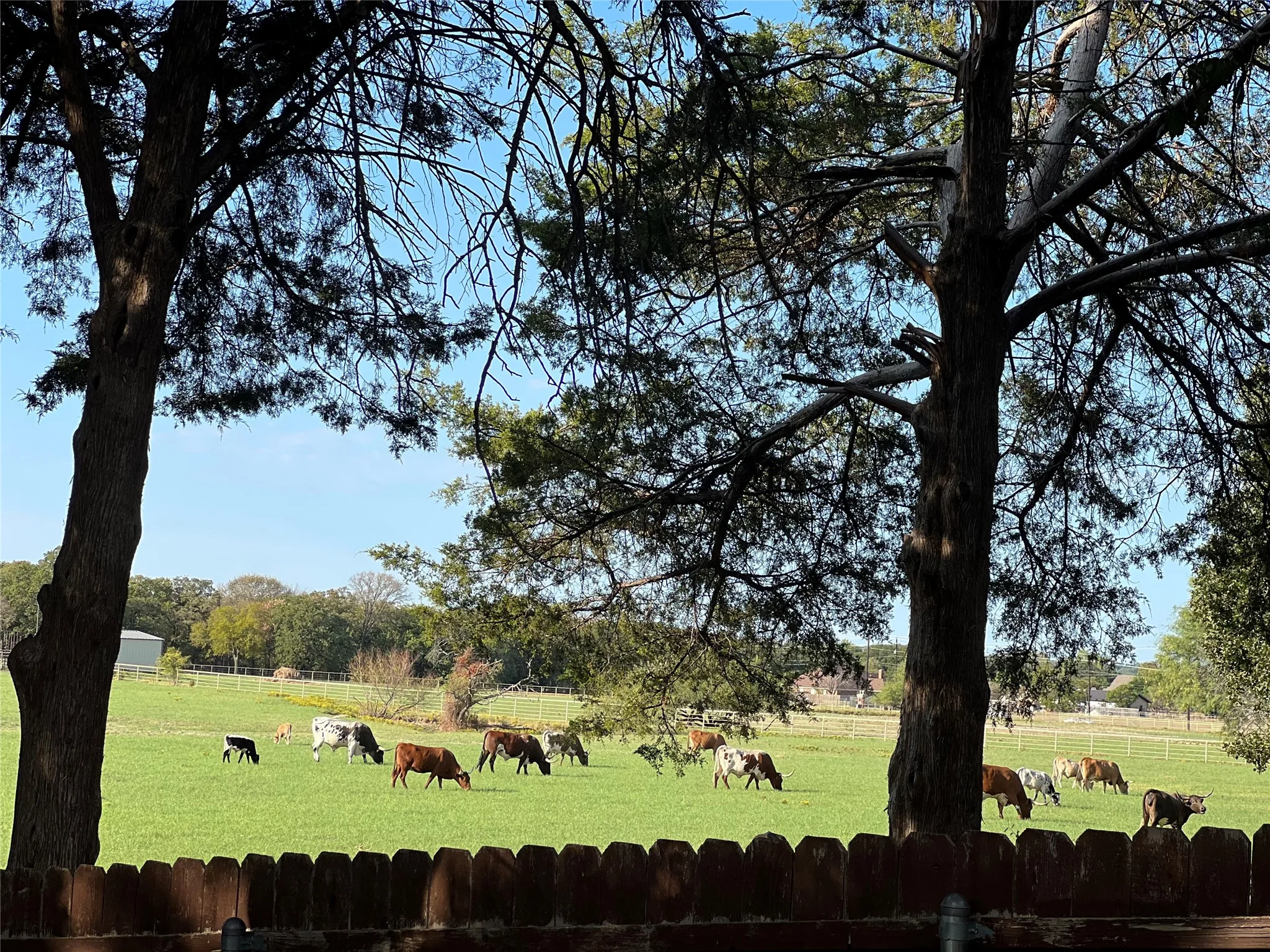 Back view of the ranch that borders the house