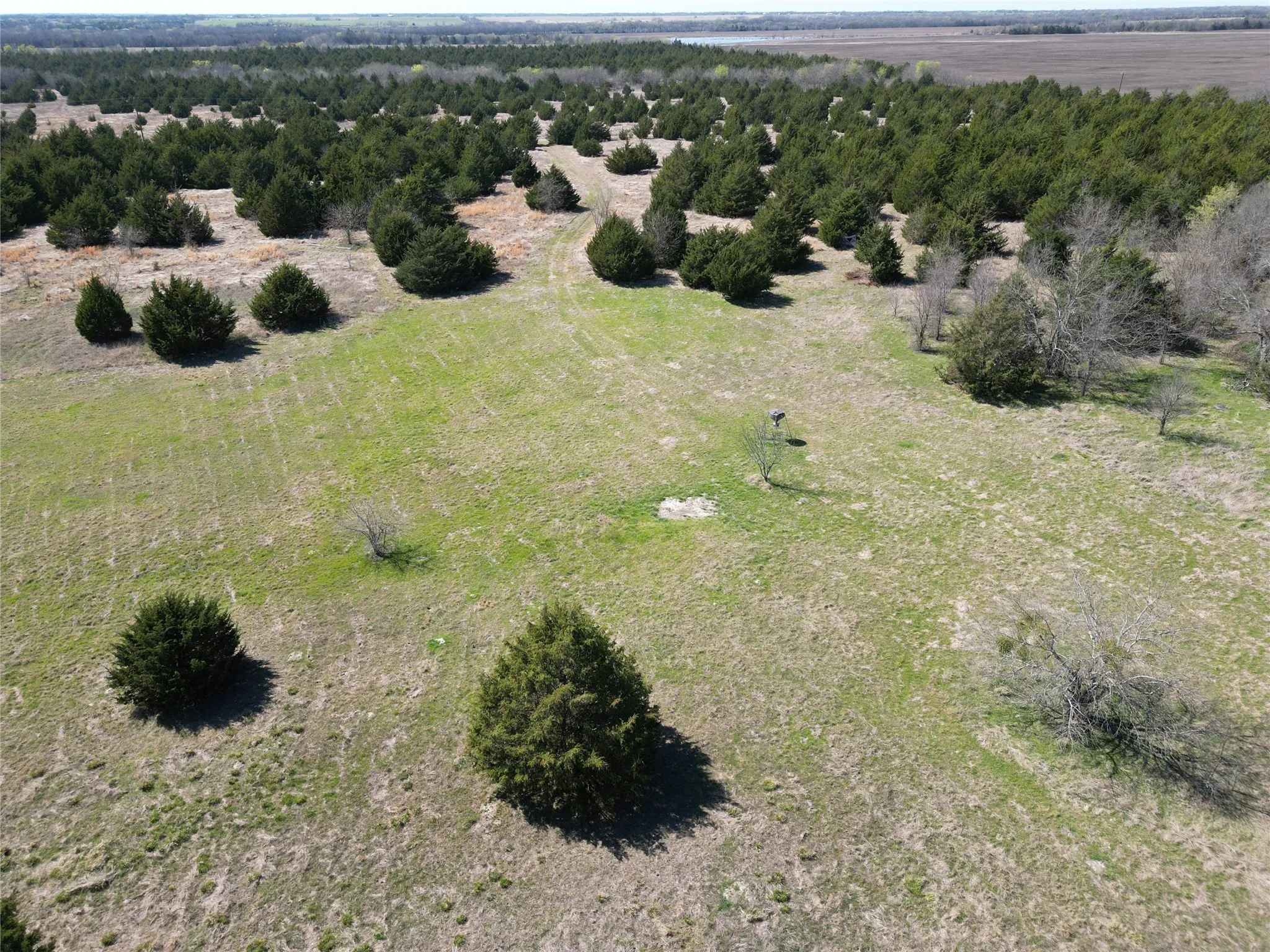 Unimproved Land For Sale in Fannin County , 999 CR3805, Bailey, Texas 75413, 0, 0, Garage spaces, 0 Sqft, built in 0, mls#21255330, Real Estate Agent in Bailey, Homes For Sale in Fannin county, Homes For Sale in Bailey, Realtor in Bailey Texas, Real Estate Brokerage Independent Realty Texas, Luminita Cordes Realtor