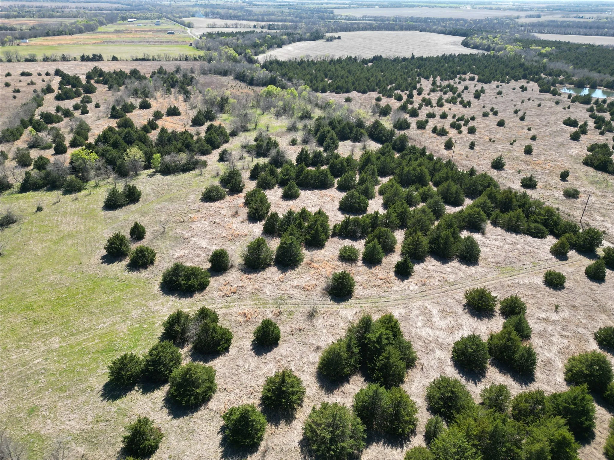 Unimproved Land For Sale in Fannin County , 999 CR3805, Bailey, Texas 75413, 0, 0, Garage spaces, 0 Sqft, built in 0, mls#21255330, Real Estate Agent in Bailey, Homes For Sale in Fannin county, Homes For Sale in Bailey, Realtor in Bailey Texas, Real Estate Brokerage Independent Realty Texas, Luminita Cordes Realtor