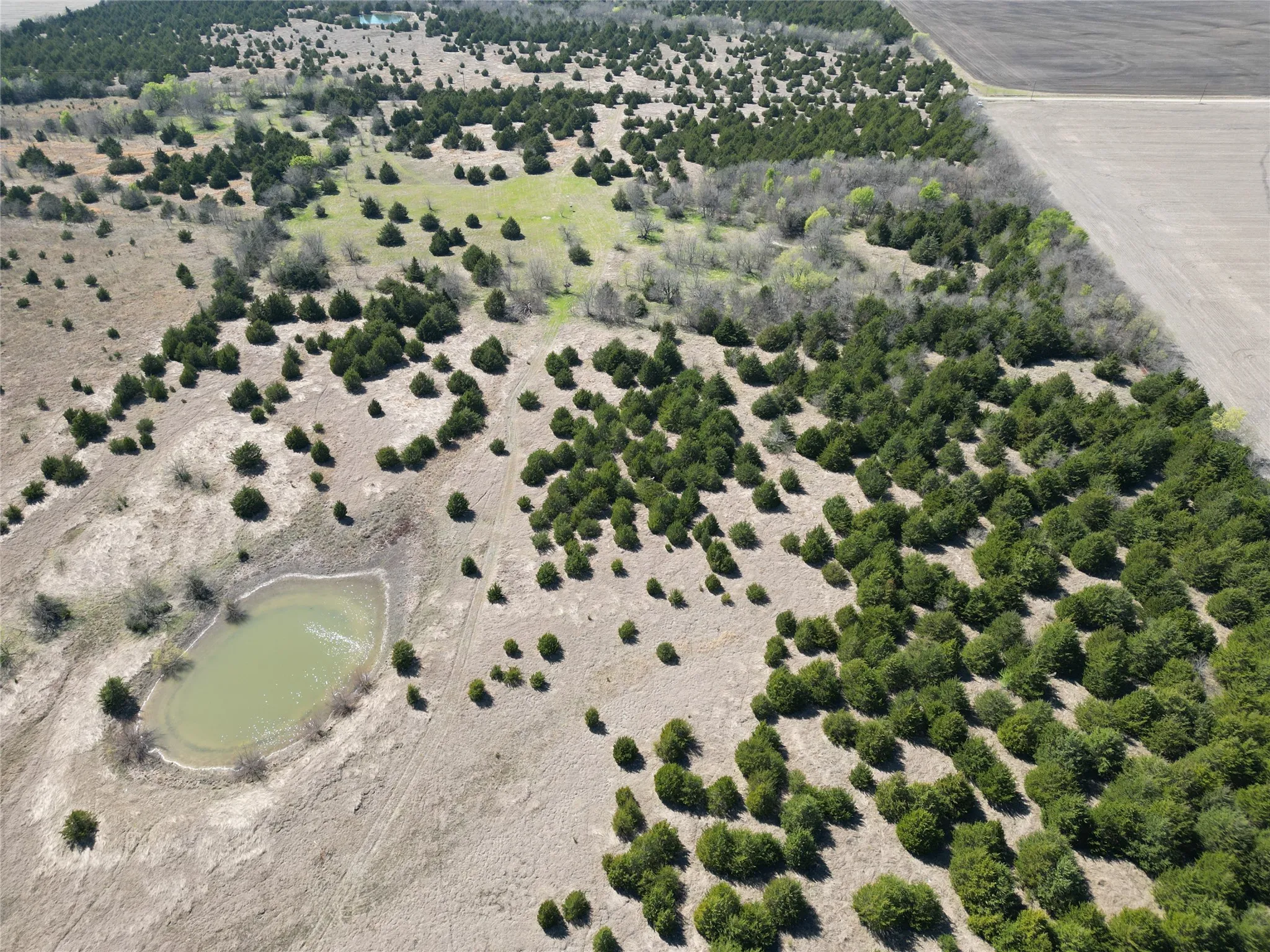 Unimproved Land For Sale in Fannin County , 999 CR3805, Bailey, Texas 75413, 0, 0, Garage spaces, 0 Sqft, built in 0, mls#21255330, Real Estate Agent in Bailey, Homes For Sale in Fannin county, Homes For Sale in Bailey, Realtor in Bailey Texas, Real Estate Brokerage Independent Realty Texas, Luminita Cordes Realtor