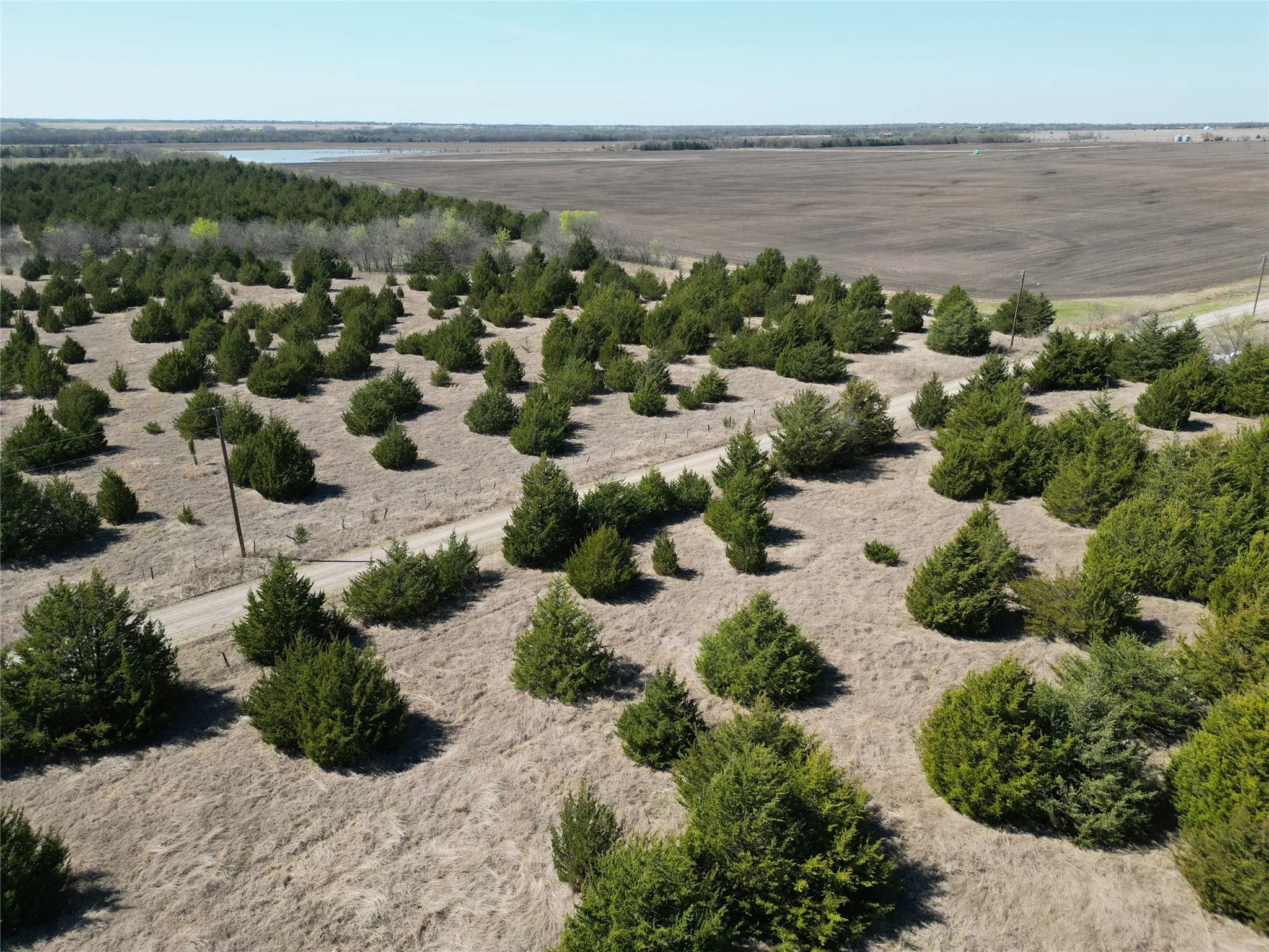 Unimproved Land For Sale in Fannin County , 999 CR3805, Bailey, Texas 75413, 0, 0, Garage spaces, 0 Sqft, built in 0, mls#21255330, Real Estate Agent in Bailey, Homes For Sale in Fannin county, Homes For Sale in Bailey, Realtor in Bailey Texas, Real Estate Brokerage Independent Realty Texas, Luminita Cordes Realtor