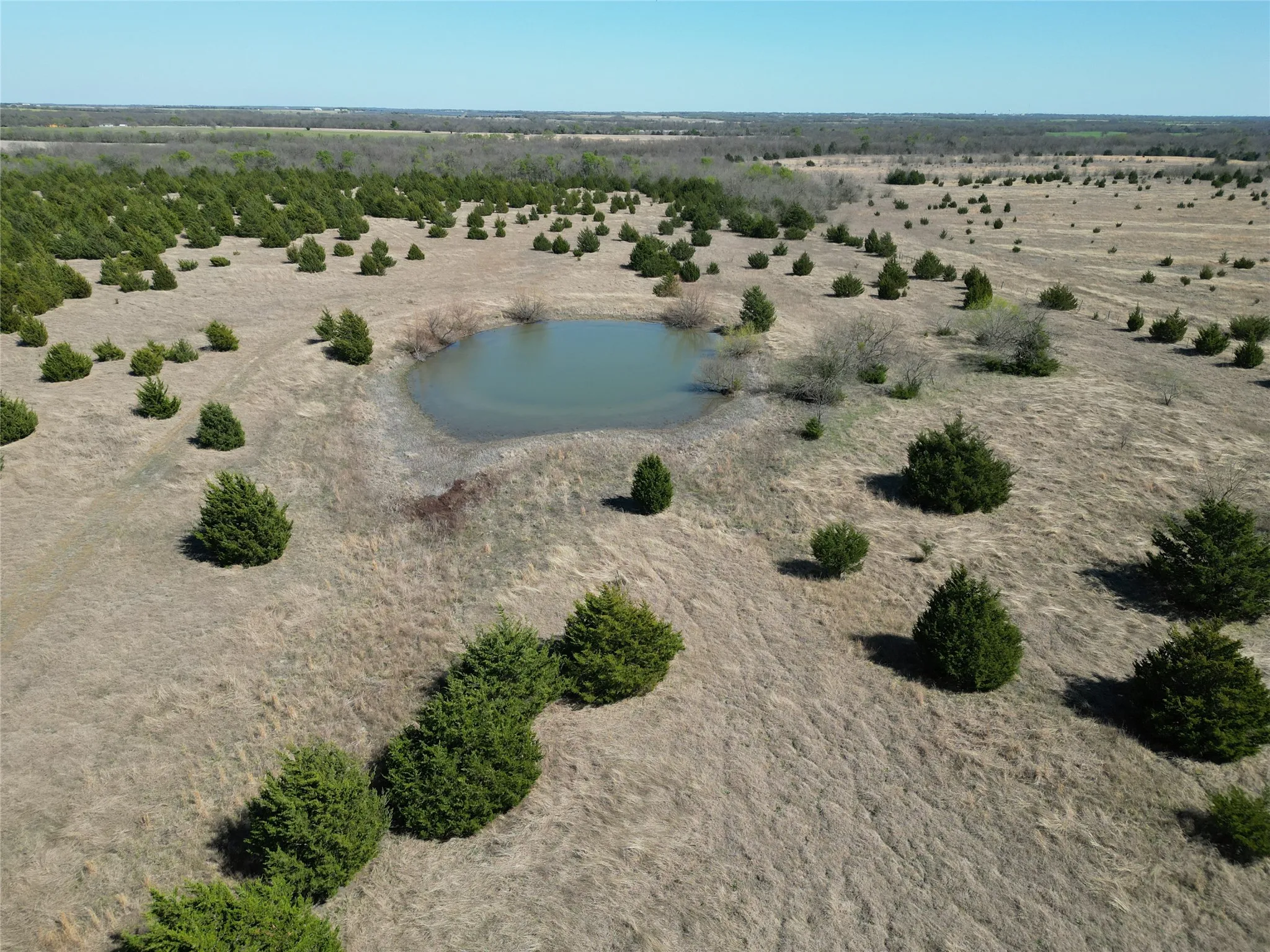Unimproved Land For Sale in Fannin County , 999 CR3805, Bailey, Texas 75413, 0, 0, Garage spaces, 0 Sqft, built in 0, mls#21255330, Real Estate Agent in Bailey, Homes For Sale in Fannin county, Homes For Sale in Bailey, Realtor in Bailey Texas, Real Estate Brokerage Independent Realty Texas, Luminita Cordes Realtor