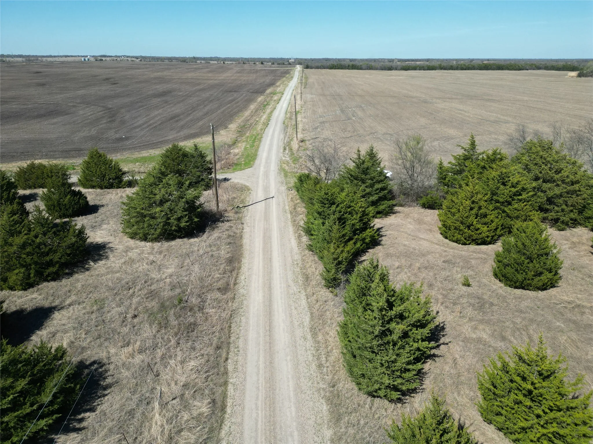 Unimproved Land For Sale in Fannin County , 999 CR3805, Bailey, Texas 75413, 0, 0, Garage spaces, 0 Sqft, built in 0, mls#21255330, Real Estate Agent in Bailey, Homes For Sale in Fannin county, Homes For Sale in Bailey, Realtor in Bailey Texas, Real Estate Brokerage Independent Realty Texas, Luminita Cordes Realtor