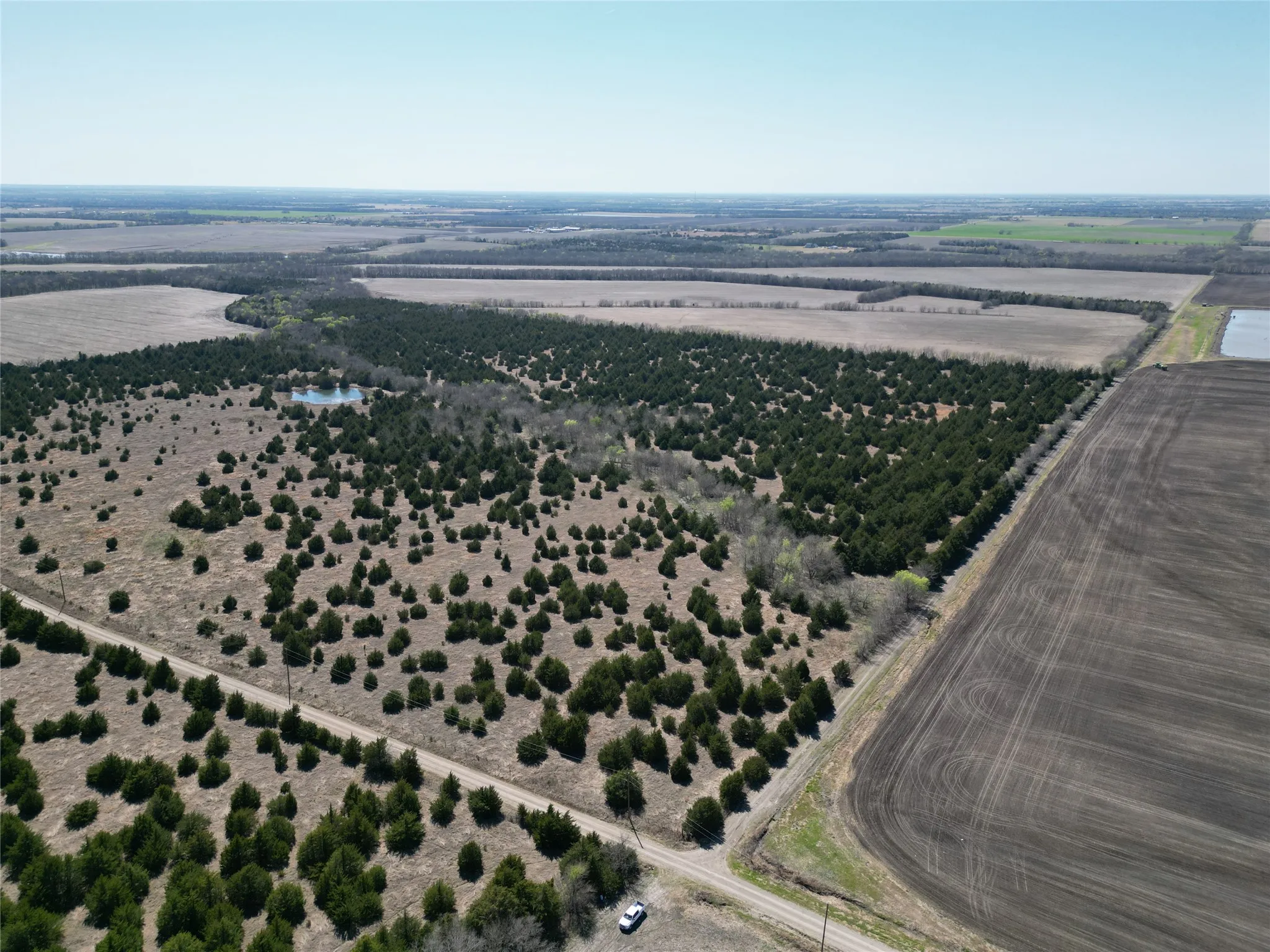 Unimproved Land For Sale in Fannin County , 999 CR3805, Bailey, Texas 75413, 0, 0, Garage spaces, 0 Sqft, built in 0, mls#21255330, Real Estate Agent in Bailey, Homes For Sale in Fannin county, Homes For Sale in Bailey, Realtor in Bailey Texas, Real Estate Brokerage Independent Realty Texas, Luminita Cordes Realtor