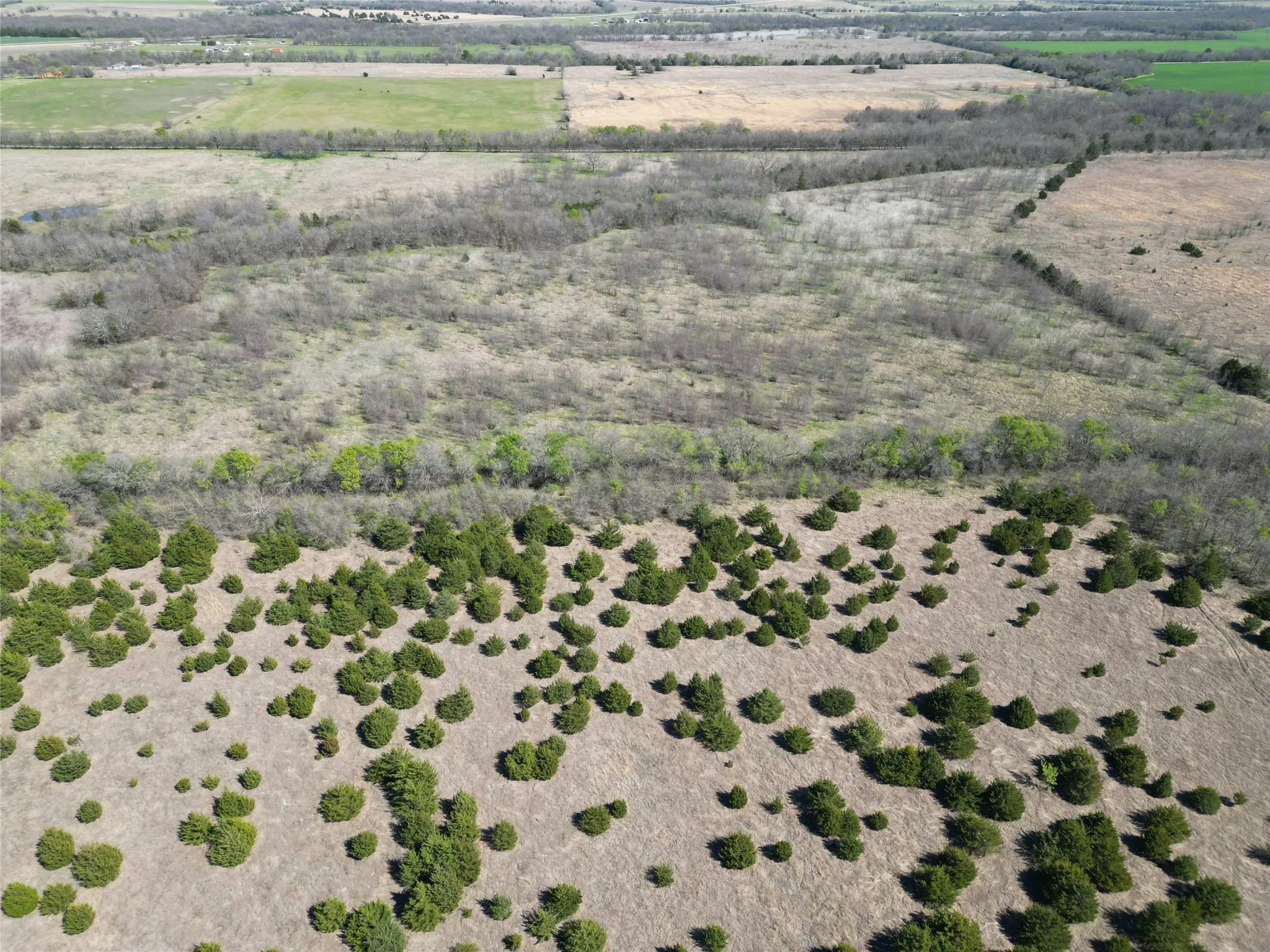 Unimproved Land For Sale in Fannin County , 999 CR3805, Bailey, Texas 75413, 0, 0, Garage spaces, 0 Sqft, built in 0, mls#21255330, Real Estate Agent in Bailey, Homes For Sale in Fannin county, Homes For Sale in Bailey, Realtor in Bailey Texas, Real Estate Brokerage Independent Realty Texas, Luminita Cordes Realtor