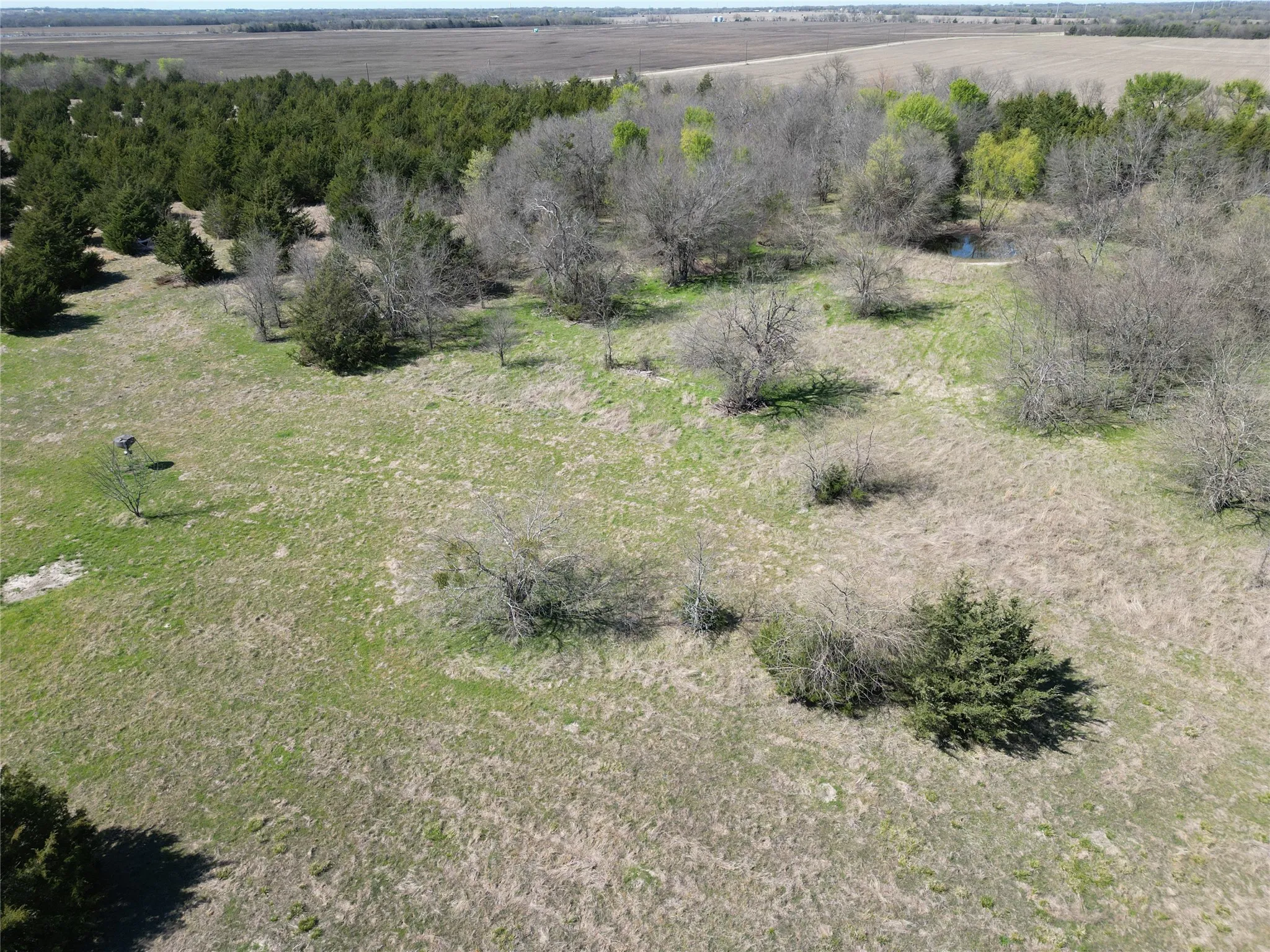 Unimproved Land For Sale in Fannin County , 999 CR3805, Bailey, Texas 75413, 0, 0, Garage spaces, 0 Sqft, built in 0, mls#21255330, Real Estate Agent in Bailey, Homes For Sale in Fannin county, Homes For Sale in Bailey, Realtor in Bailey Texas, Real Estate Brokerage Independent Realty Texas, Luminita Cordes Realtor