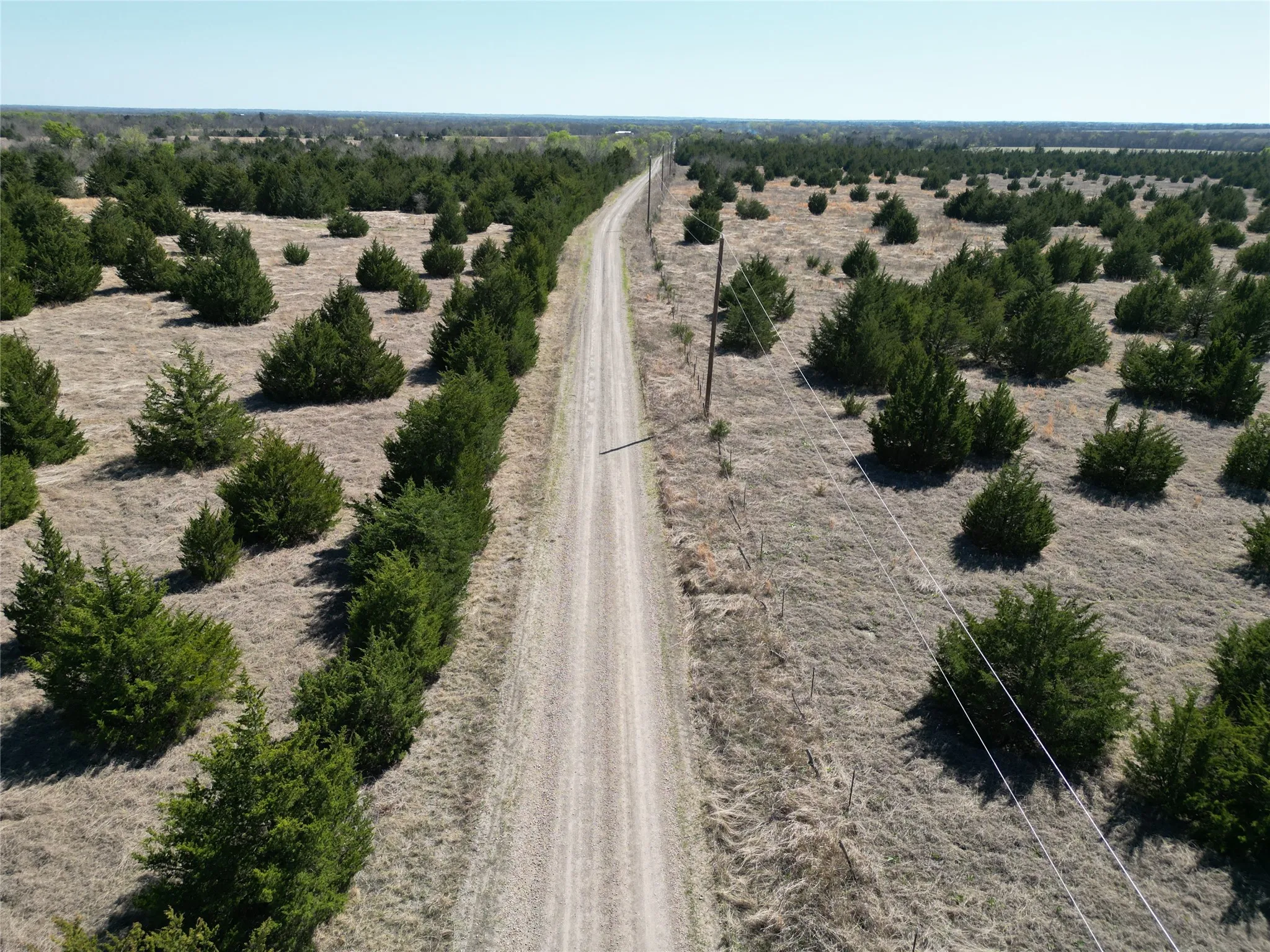 Unimproved Land For Sale in Fannin County , 999 CR3805, Bailey, Texas 75413, 0, 0, Garage spaces, 0 Sqft, built in 0, mls#21255330, Real Estate Agent in Bailey, Homes For Sale in Fannin county, Homes For Sale in Bailey, Realtor in Bailey Texas, Real Estate Brokerage Independent Realty Texas, Luminita Cordes Realtor