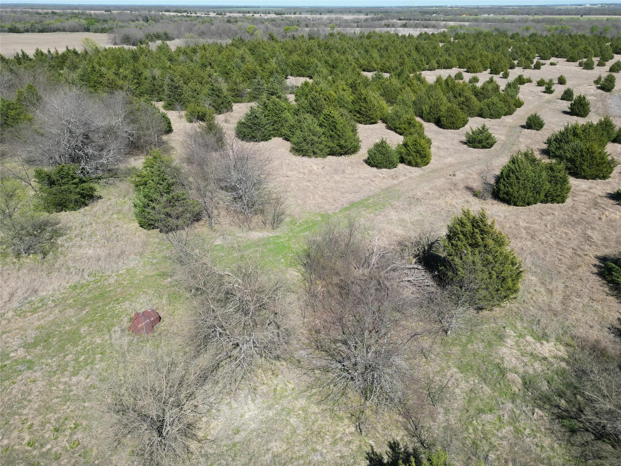 Unimproved Land For Sale in Fannin County , 999 CR3805, Bailey, Texas 75413, 0, 0, Garage spaces, 0 Sqft, built in 0, mls#21255330, Real Estate Agent in Bailey, Homes For Sale in Fannin county, Homes For Sale in Bailey, Realtor in Bailey Texas, Real Estate Brokerage Independent Realty Texas, Luminita Cordes Realtor