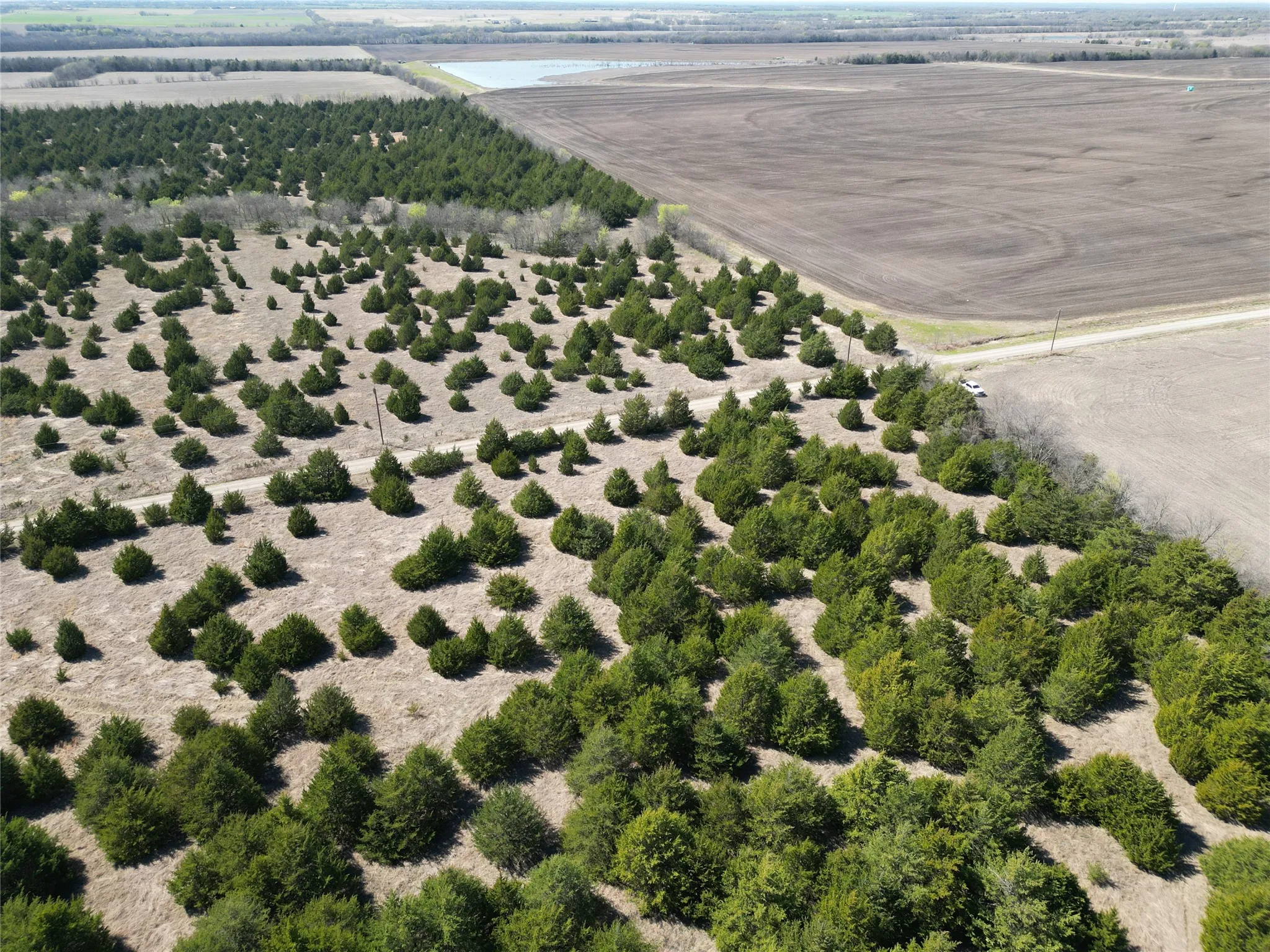 Unimproved Land For Sale in Fannin County , 999 CR3805, Bailey, Texas 75413, 0, 0, Garage spaces, 0 Sqft, built in 0, mls#21255330, Real Estate Agent in Bailey, Homes For Sale in Fannin county, Homes For Sale in Bailey, Realtor in Bailey Texas, Real Estate Brokerage Independent Realty Texas, Luminita Cordes Realtor