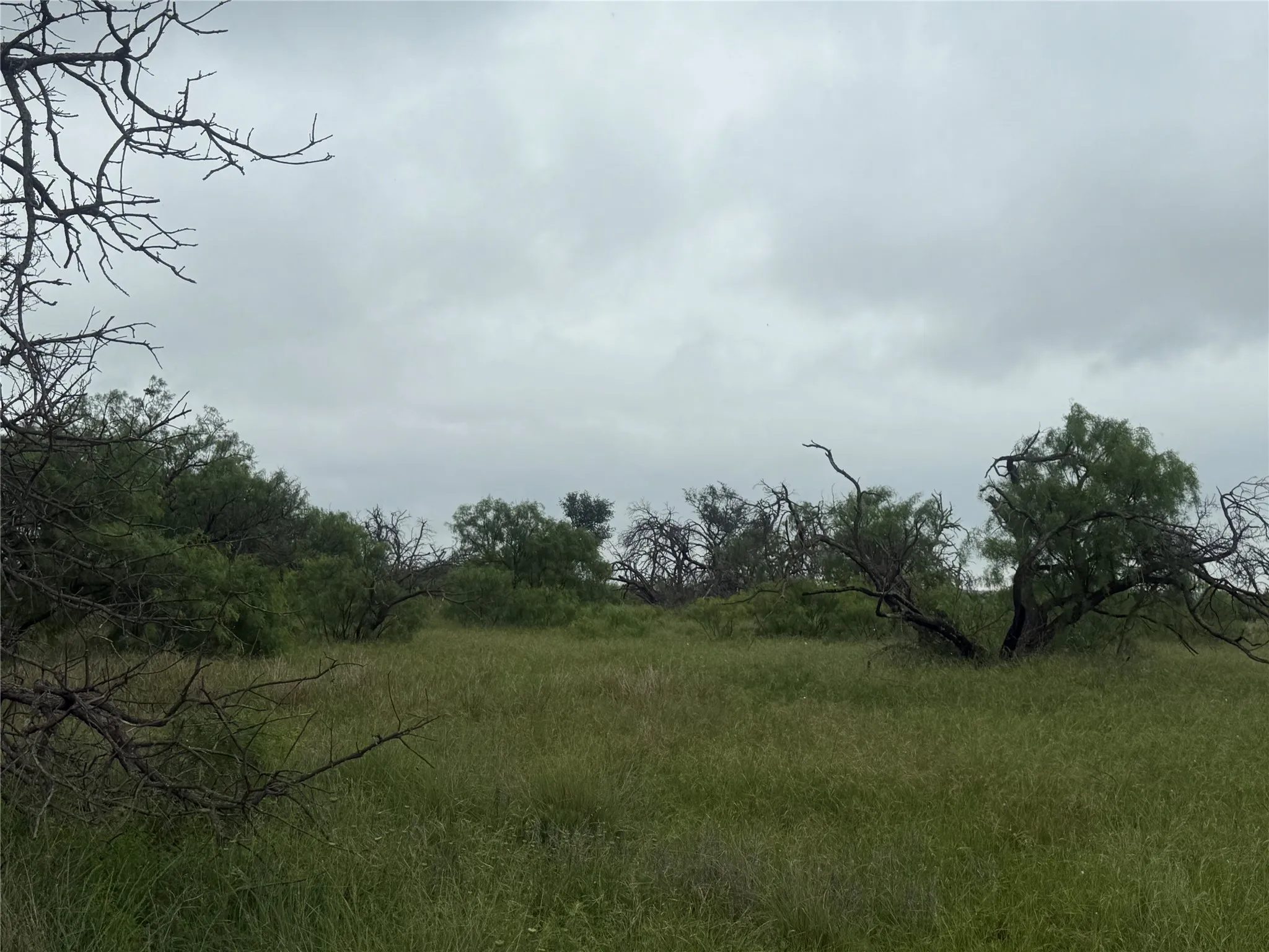 Unimproved Land For Sale in Brown County , TBD779 Feather Bay Drive, Brownwood, Texas 76801, 0, 0, Garage spaces, 0 Sqft, built in 0, mls#21253021, Real Estate Agent in Brownwood, Homes For Sale in Brown county, Homes For Sale in Brownwood, Realtor in Brownwood Texas, Real Estate Brokerage Independent Realty Texas, Luminita Cordes Realtor