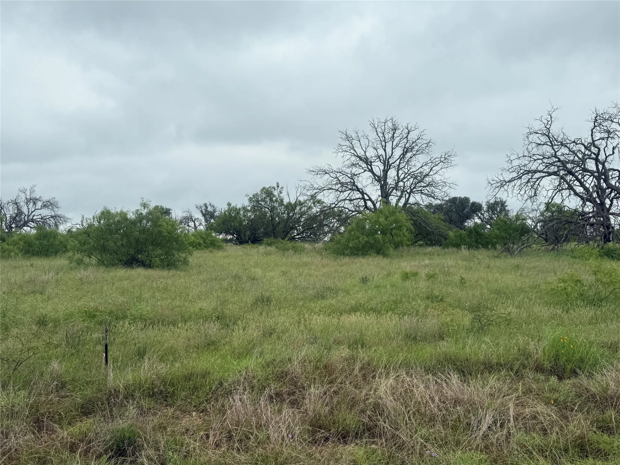 Unimproved Land For Sale in Brown County , TBD779 Feather Bay Drive, Brownwood, Texas 76801, 0, 0, Garage spaces, 0 Sqft, built in 0, mls#21253021, Real Estate Agent in Brownwood, Homes For Sale in Brown county, Homes For Sale in Brownwood, Realtor in Brownwood Texas, Real Estate Brokerage Independent Realty Texas, Luminita Cordes Realtor