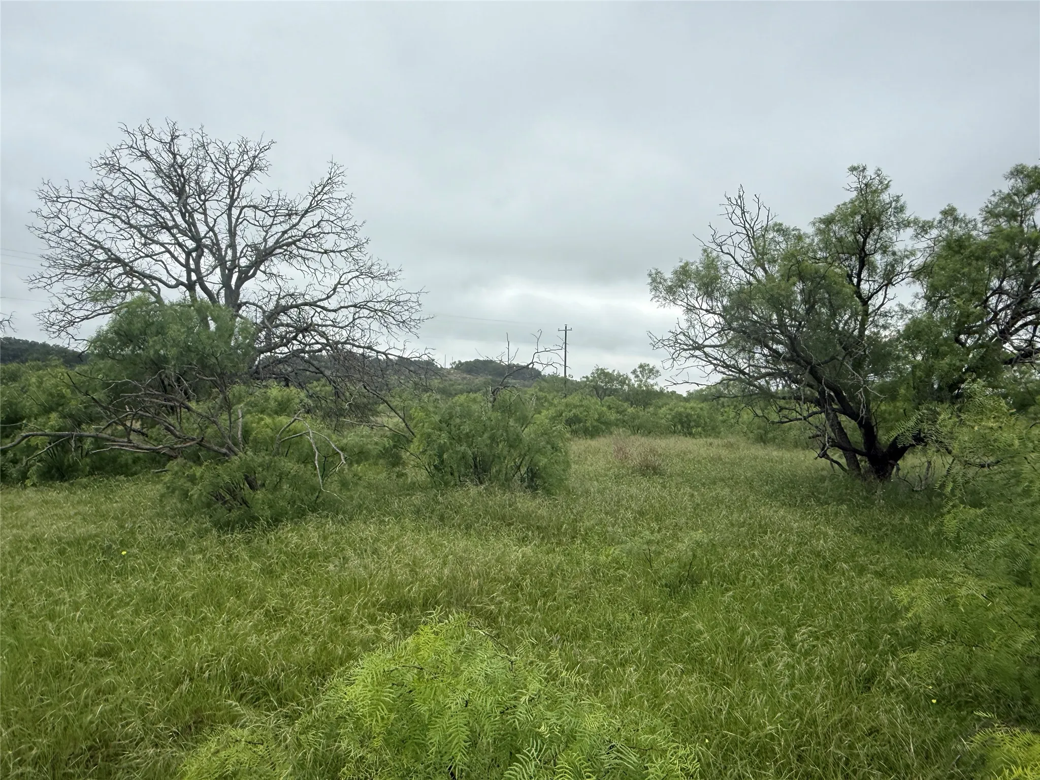 Unimproved Land For Sale in Brown County , TBD779 Feather Bay Drive, Brownwood, Texas 76801, 0, 0, Garage spaces, 0 Sqft, built in 0, mls#21253021, Real Estate Agent in Brownwood, Homes For Sale in Brown county, Homes For Sale in Brownwood, Realtor in Brownwood Texas, Real Estate Brokerage Independent Realty Texas, Luminita Cordes Realtor