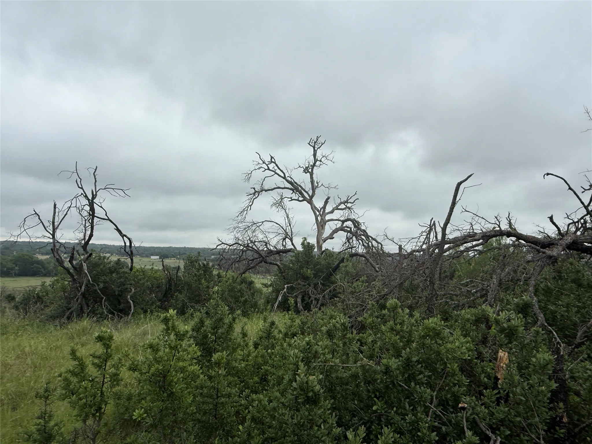 Unimproved Land For Sale in Brown County , TBD779 Feather Bay Drive, Brownwood, Texas 76801, 0, 0, Garage spaces, 0 Sqft, built in 0, mls#21253021, Real Estate Agent in Brownwood, Homes For Sale in Brown county, Homes For Sale in Brownwood, Realtor in Brownwood Texas, Real Estate Brokerage Independent Realty Texas, Luminita Cordes Realtor