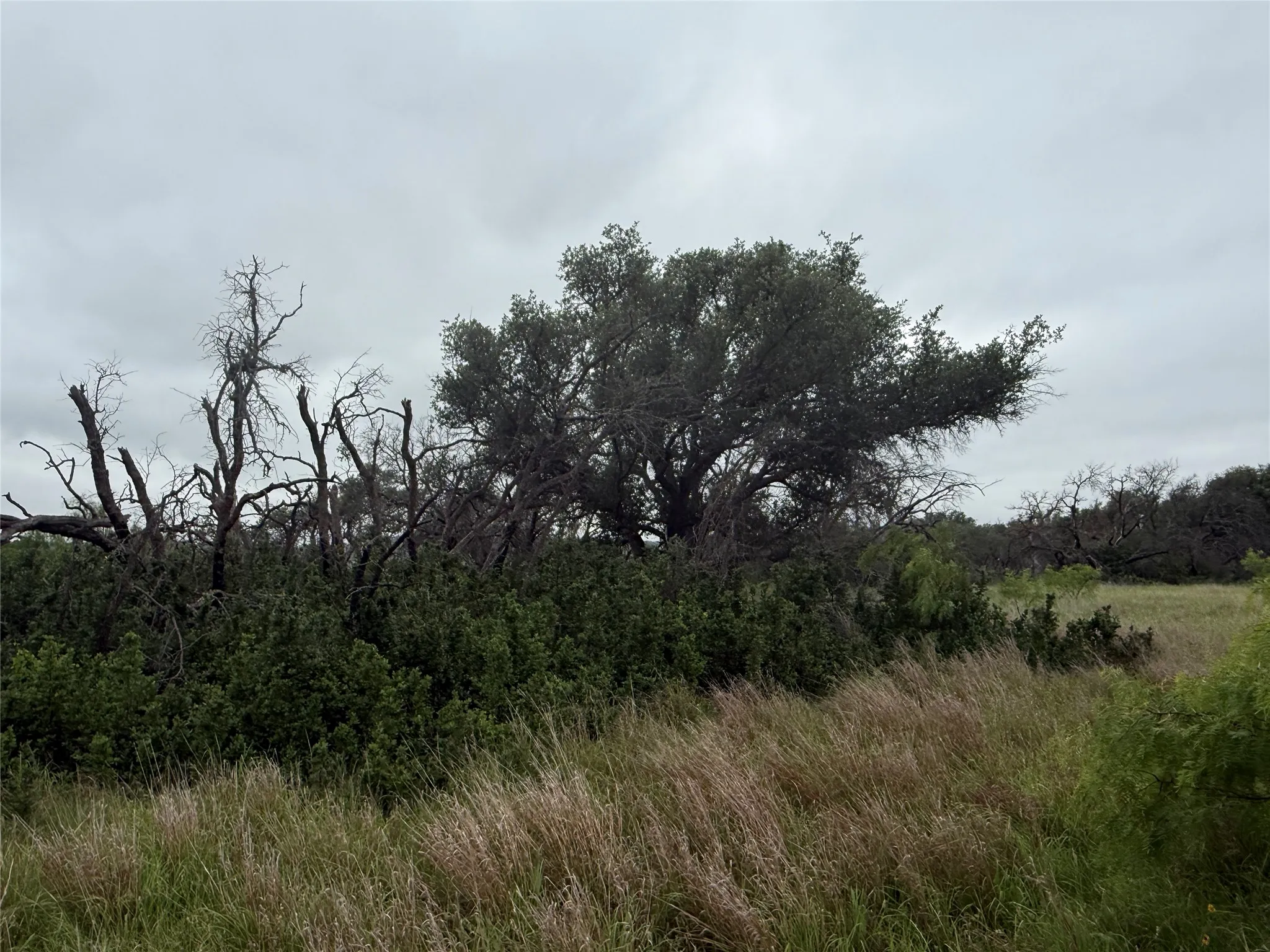 Unimproved Land For Sale in Brown County , TBD779 Feather Bay Drive, Brownwood, Texas 76801, 0, 0, Garage spaces, 0 Sqft, built in 0, mls#21253021, Real Estate Agent in Brownwood, Homes For Sale in Brown county, Homes For Sale in Brownwood, Realtor in Brownwood Texas, Real Estate Brokerage Independent Realty Texas, Luminita Cordes Realtor